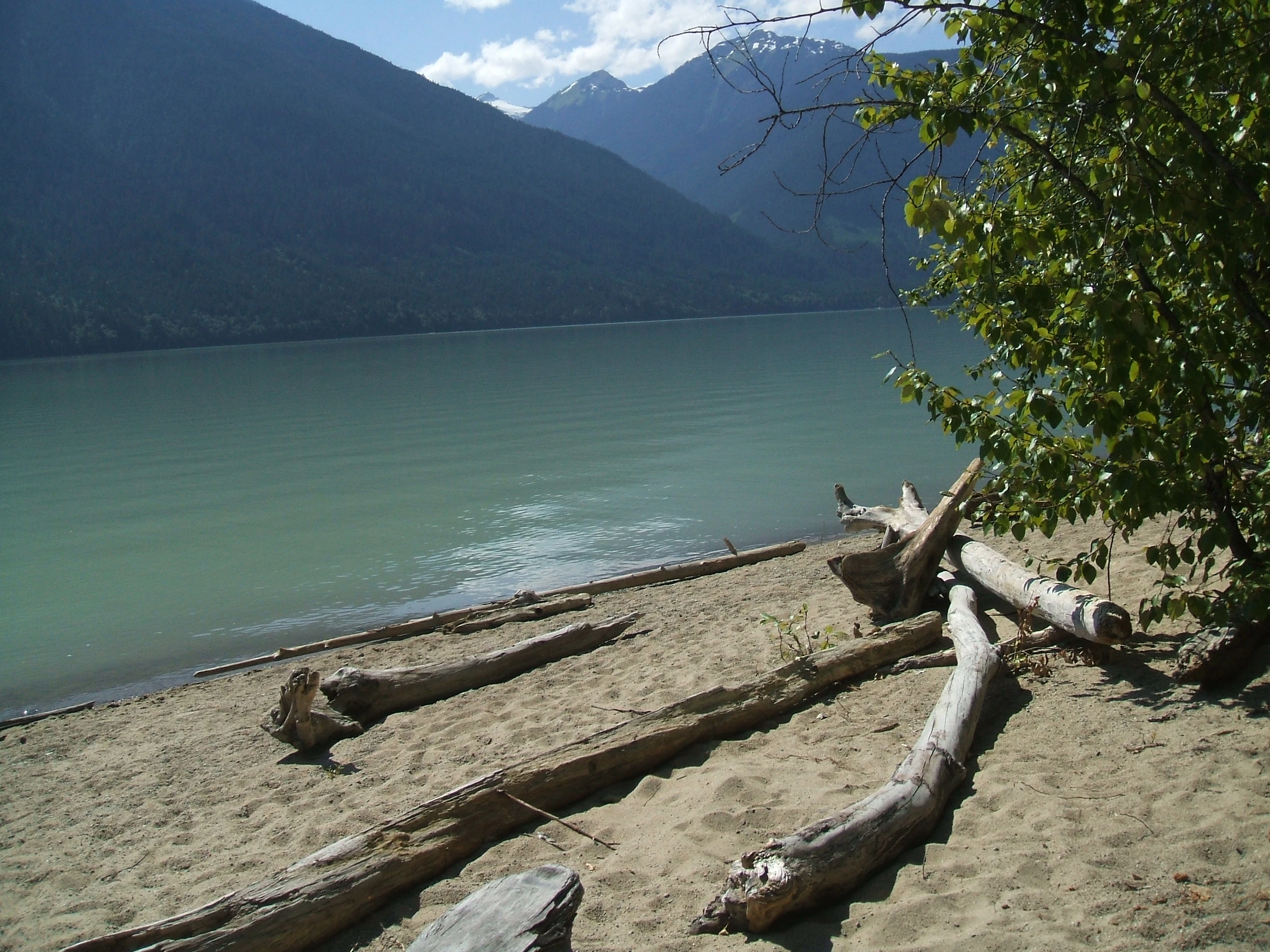 Photo: Recreation Sites and Trails BC. © Province of British Columbia, licensed under the Open Government Licence – British Columbia. Strawberry Point, photo 3