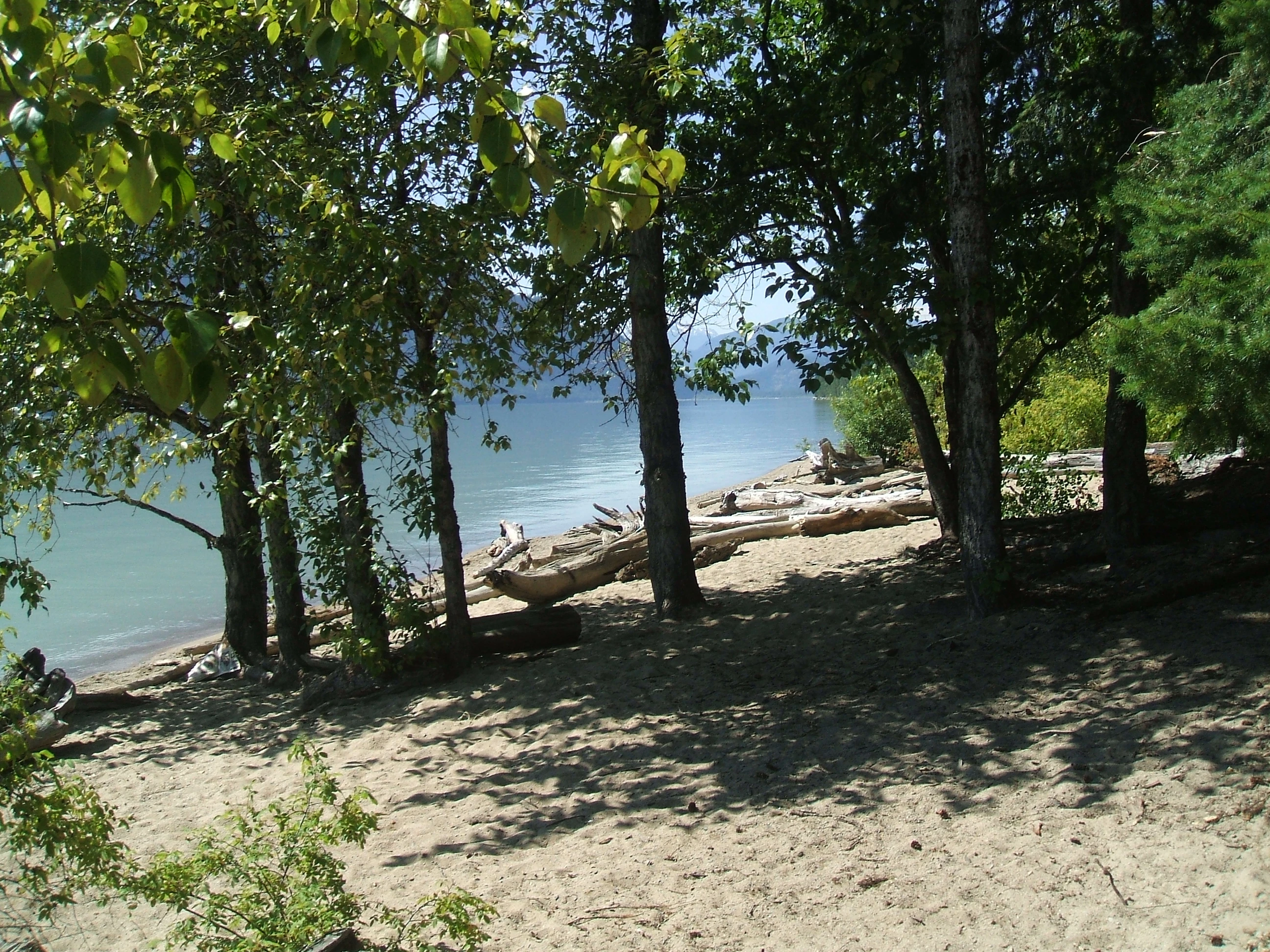 Photo: Recreation Sites and Trails BC. © Province of British Columbia, licensed under the Open Government Licence – British Columbia. Strawberry Point, photo 5