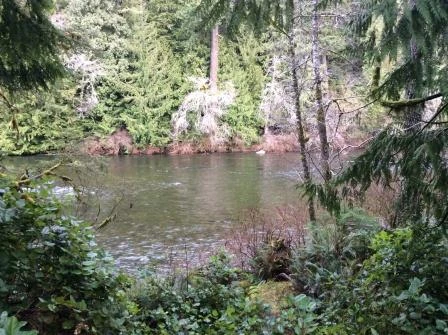 Photo: Recreation Sites and Trails BC. © Province of British Columbia, licensed under the Open Government Licence – British Columbia. Marble River, photo 3