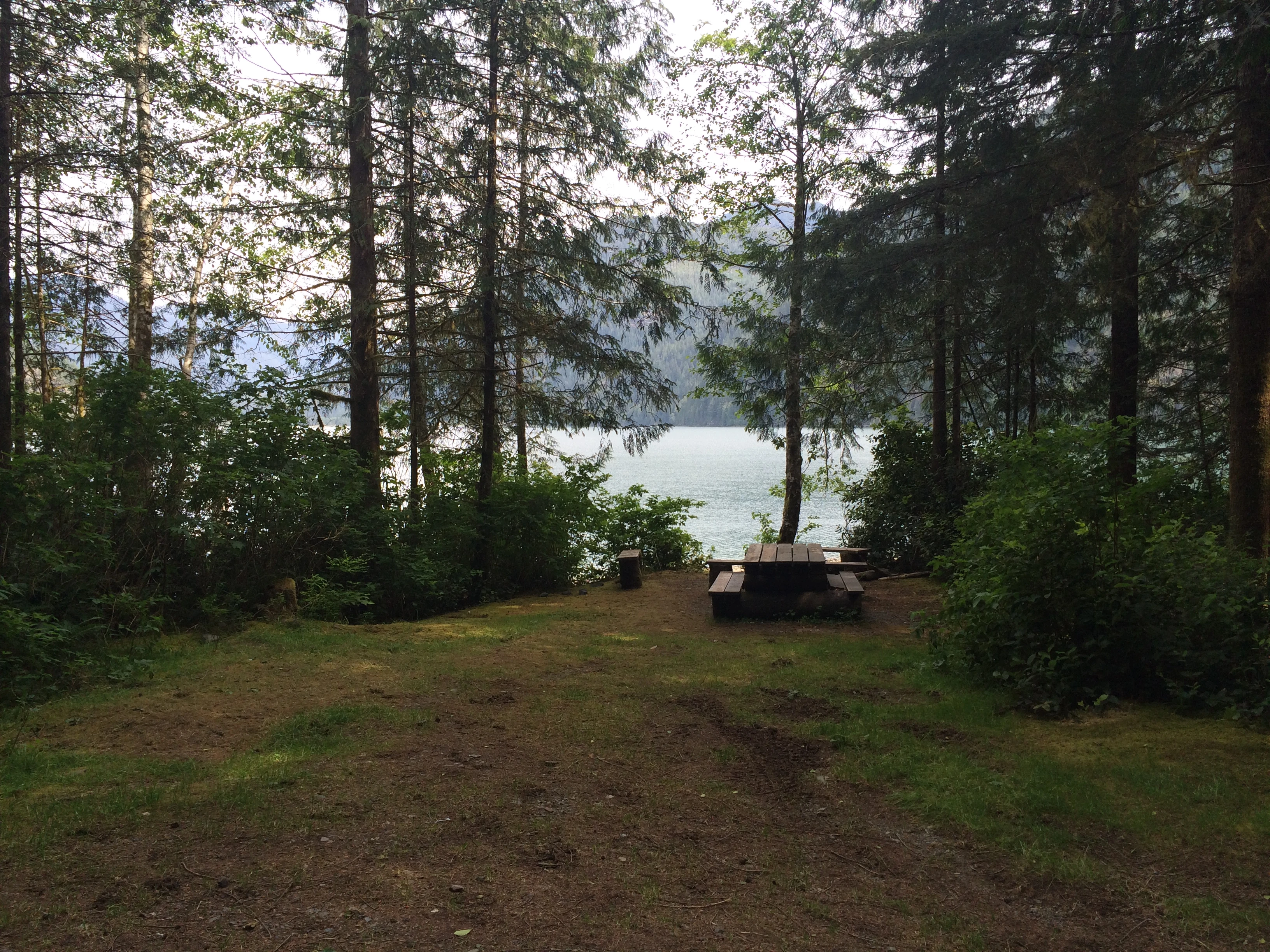 Photo: Recreation Sites and Trails BC. © Province of British Columbia, licensed under the Open Government Licence – British Columbia. Rhodes Creek (Resolution Park), photo 5