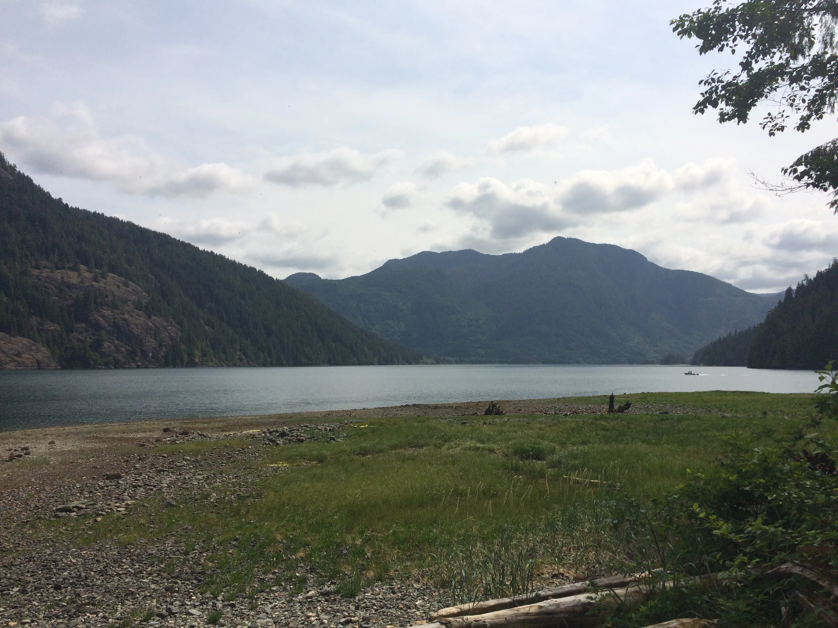 Photo: Recreation Sites and Trails BC. © Province of British Columbia, licensed under the Open Government Licence – British Columbia. Rhodes Creek (Resolution Park), photo 2