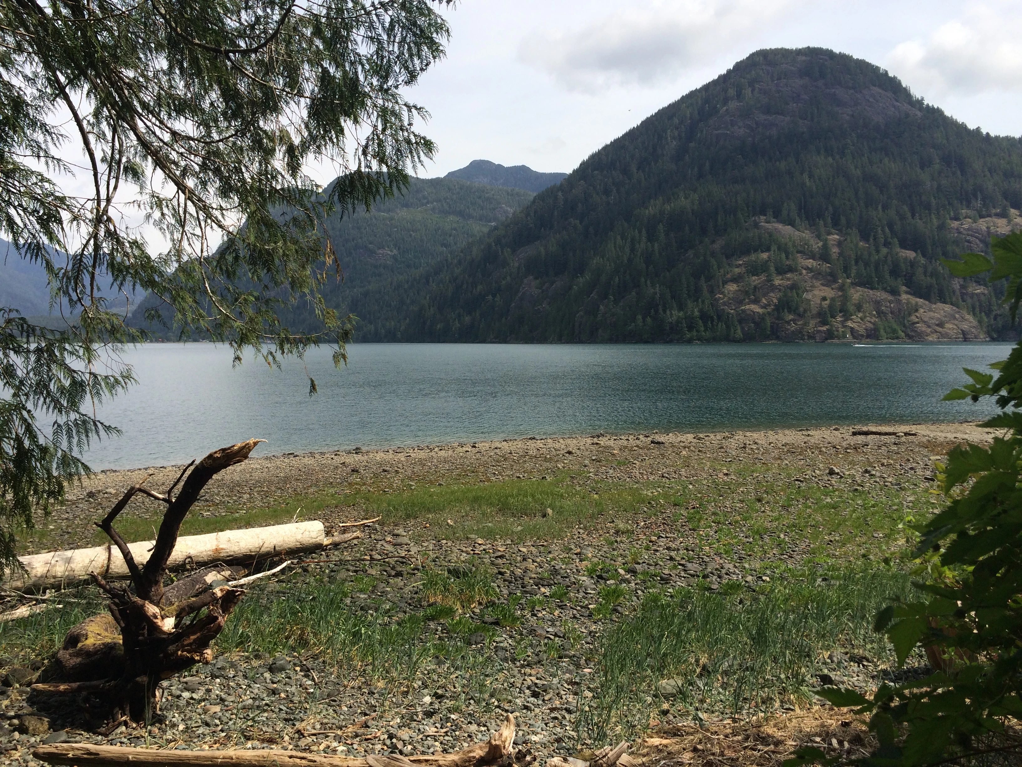 Photo: Recreation Sites and Trails BC. © Province of British Columbia, licensed under the Open Government Licence – British Columbia. Rhodes Creek (Resolution Park), photo 4