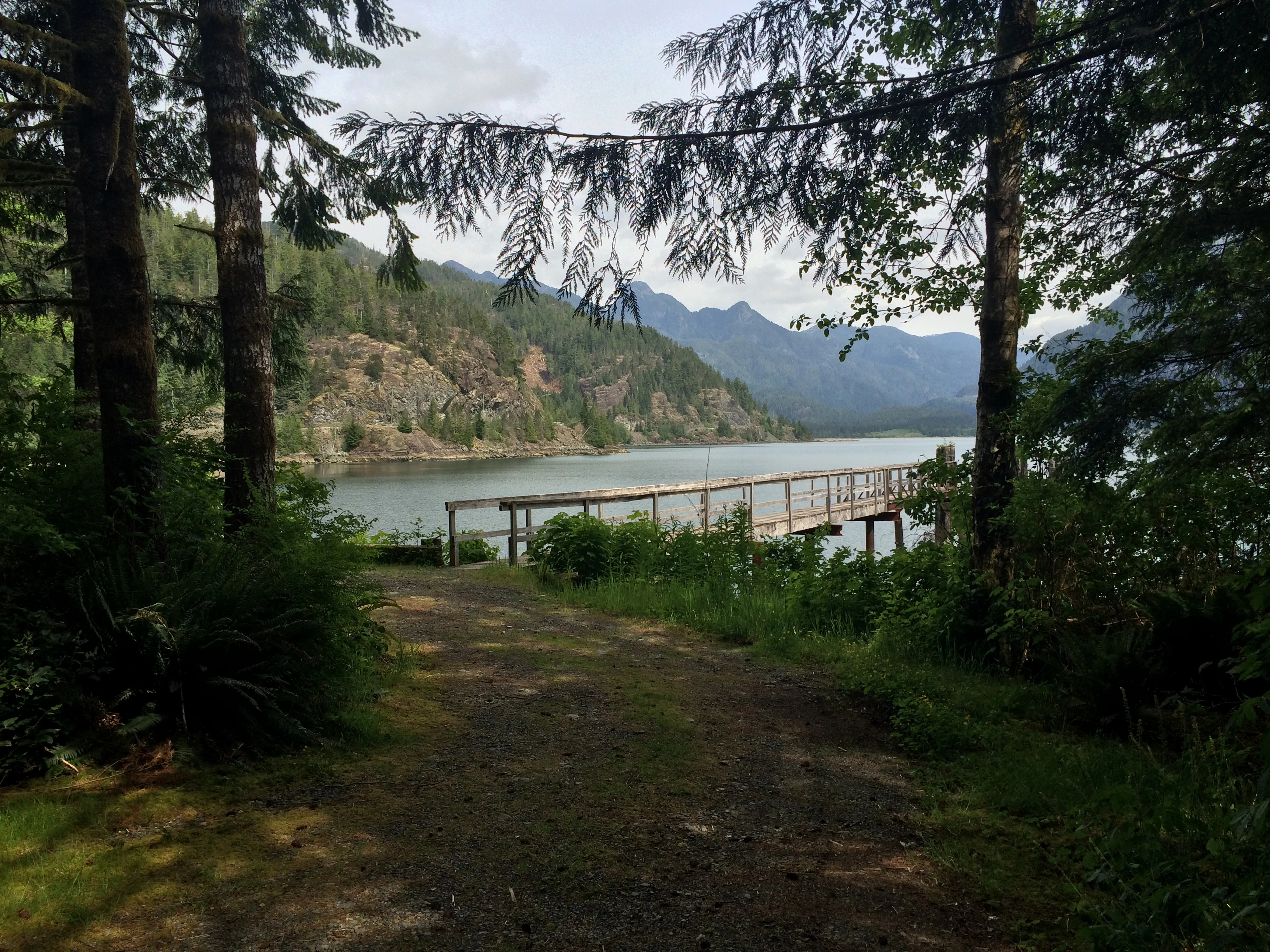Photo: Recreation Sites and Trails BC. © Province of British Columbia, licensed under the Open Government Licence – British Columbia. Rhodes Creek (Resolution Park), photo 6