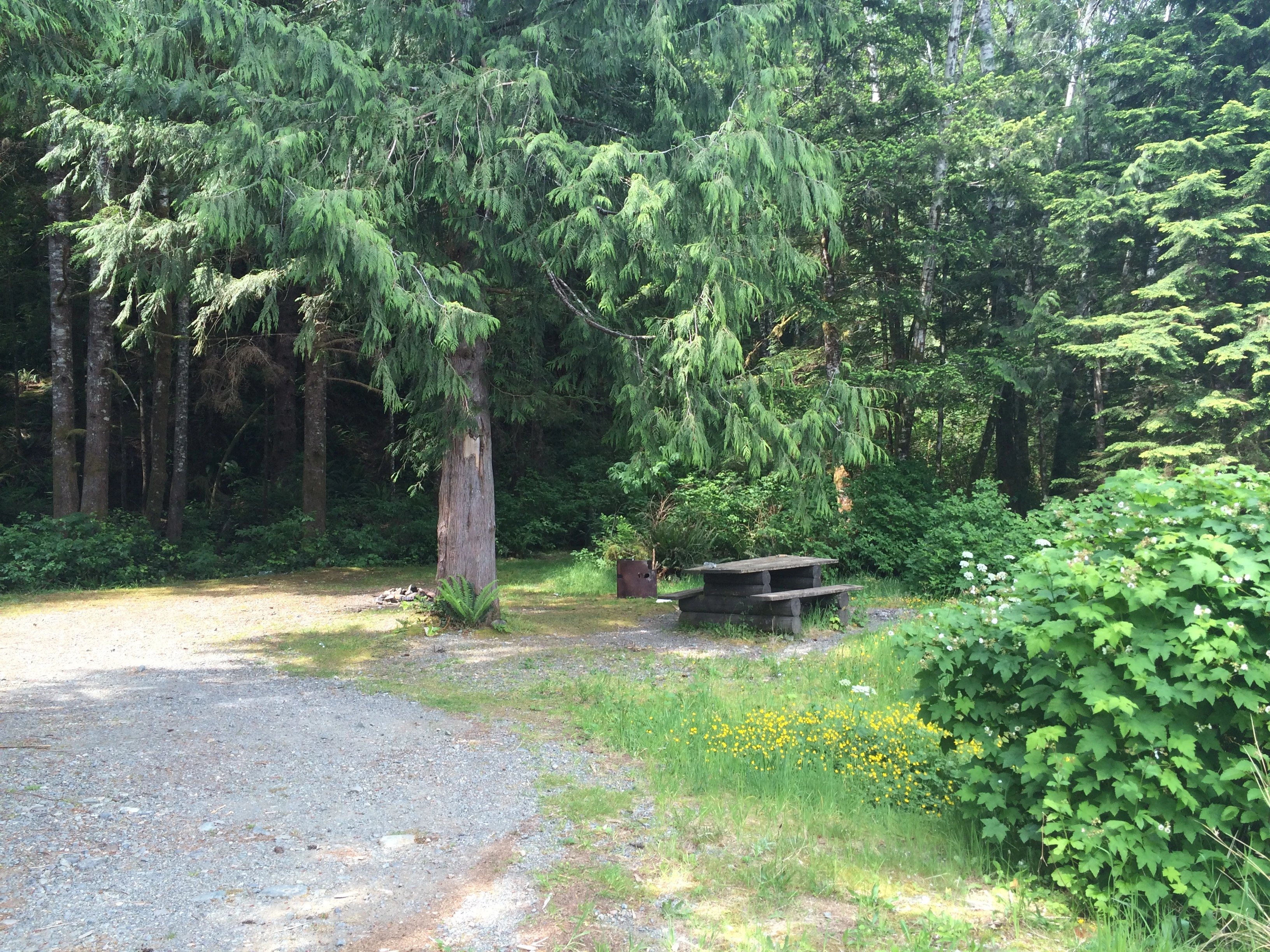 Photo: Recreation Sites and Trails BC. © Province of British Columbia, licensed under the Open Government Licence – British Columbia. Rhodes Creek (Resolution Park), photo 8