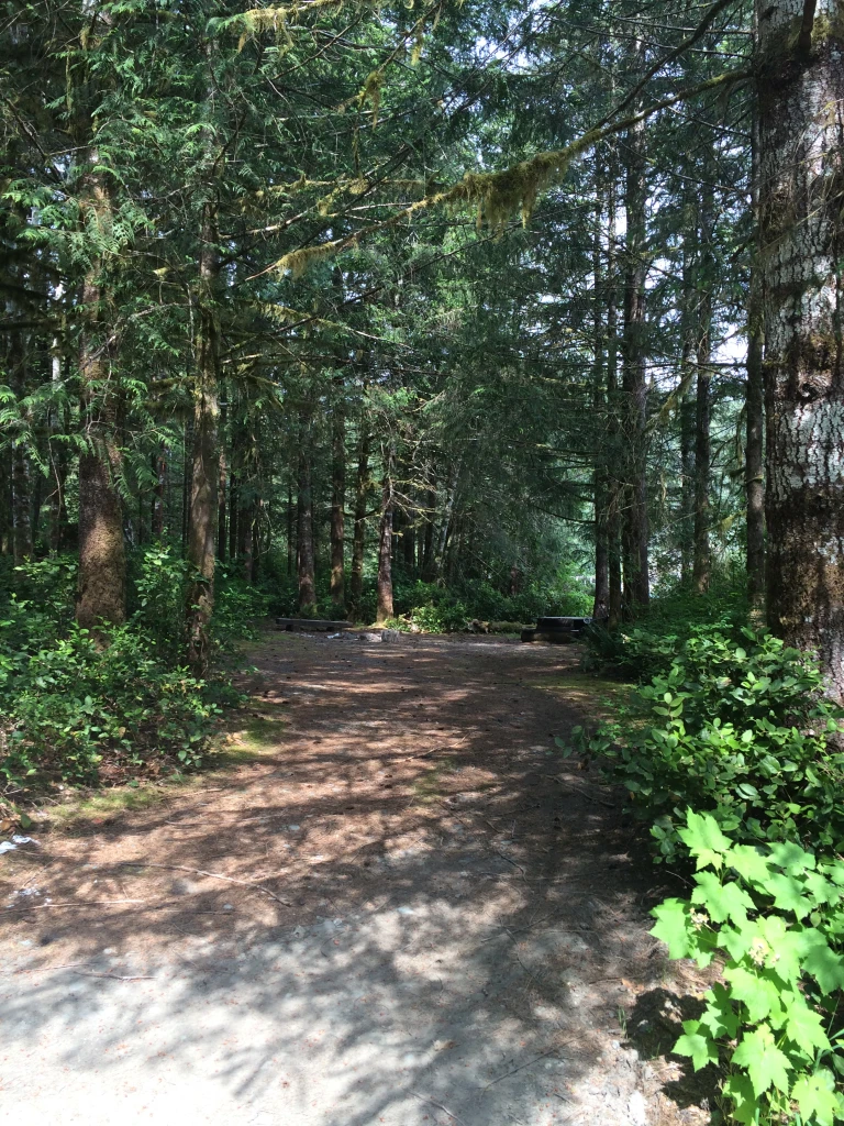 Photo: Recreation Sites and Trails BC. © Province of British Columbia, licensed under the Open Government Licence – British Columbia. Rhodes Creek (Resolution Park)