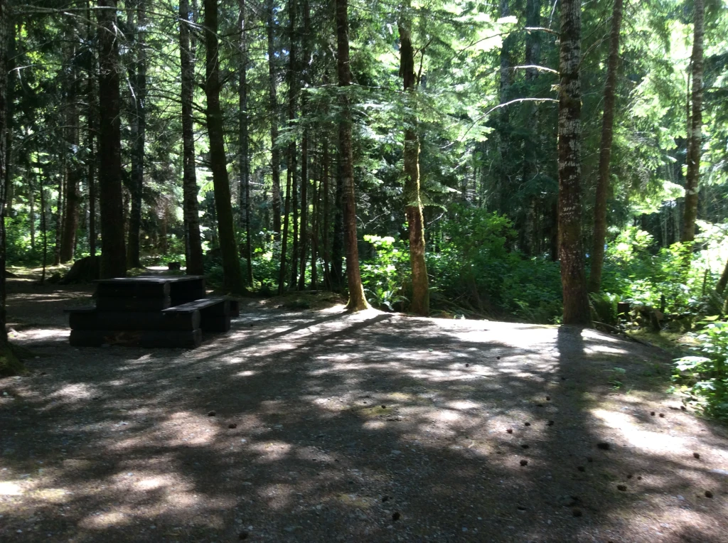 Photo: Recreation Sites and Trails BC. © Province of British Columbia, licensed under the Open Government Licence – British Columbia. Muchalat Lake, photo 7