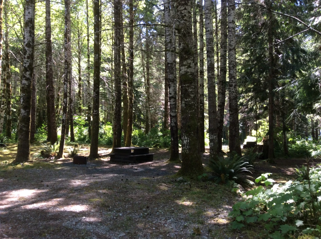 Photo: Recreation Sites and Trails BC. © Province of British Columbia, licensed under the Open Government Licence – British Columbia. Muchalat Lake, photo 8