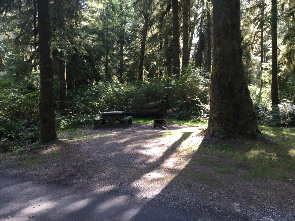 Photo: Recreation Sites and Trails BC. © Province of British Columbia, licensed under the Open Government Licence – British Columbia. Fairy Lake, photo 4
