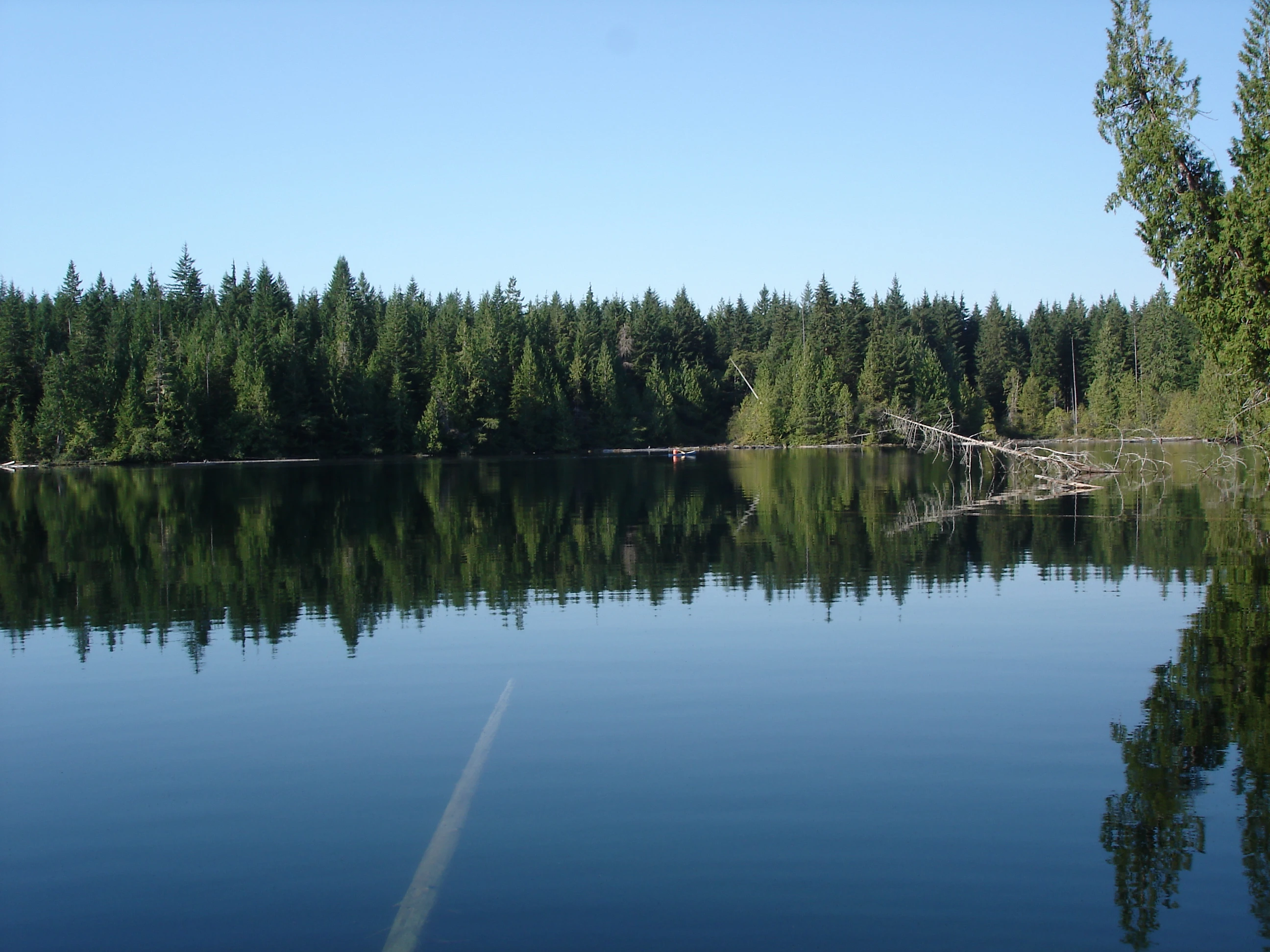 Lizard Lake