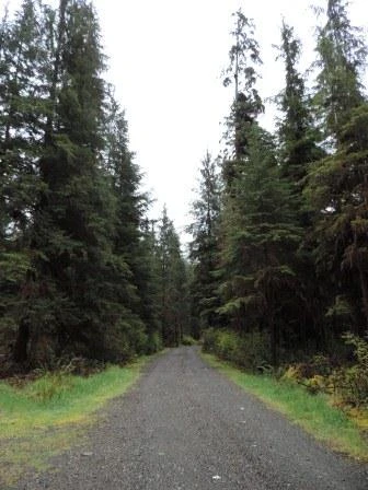 Photo: Recreation Sites and Trails BC. © Province of British Columbia, licensed under the Open Government Licence – British Columbia. Leiner River, photo 4