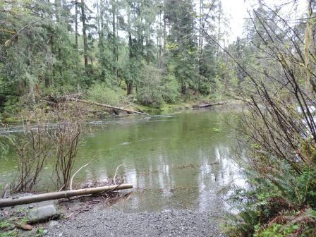 Photo: Recreation Sites and Trails BC. © Province of British Columbia, licensed under the Open Government Licence – British Columbia. Leiner River, photo 5