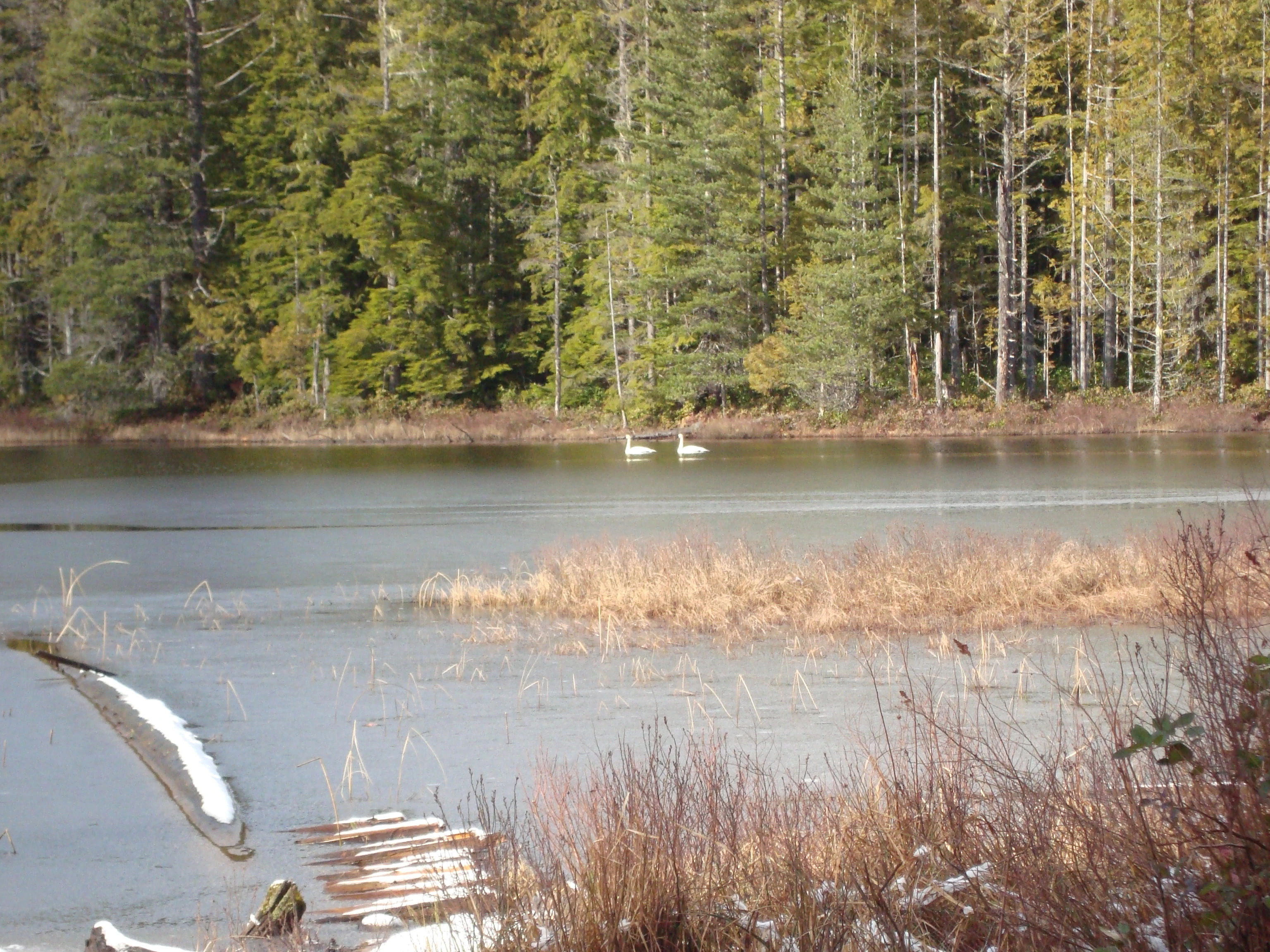 Photo: Recreation Sites and Trails BC. © Province of British Columbia, licensed under the Open Government Licence – British Columbia. Tony Lake