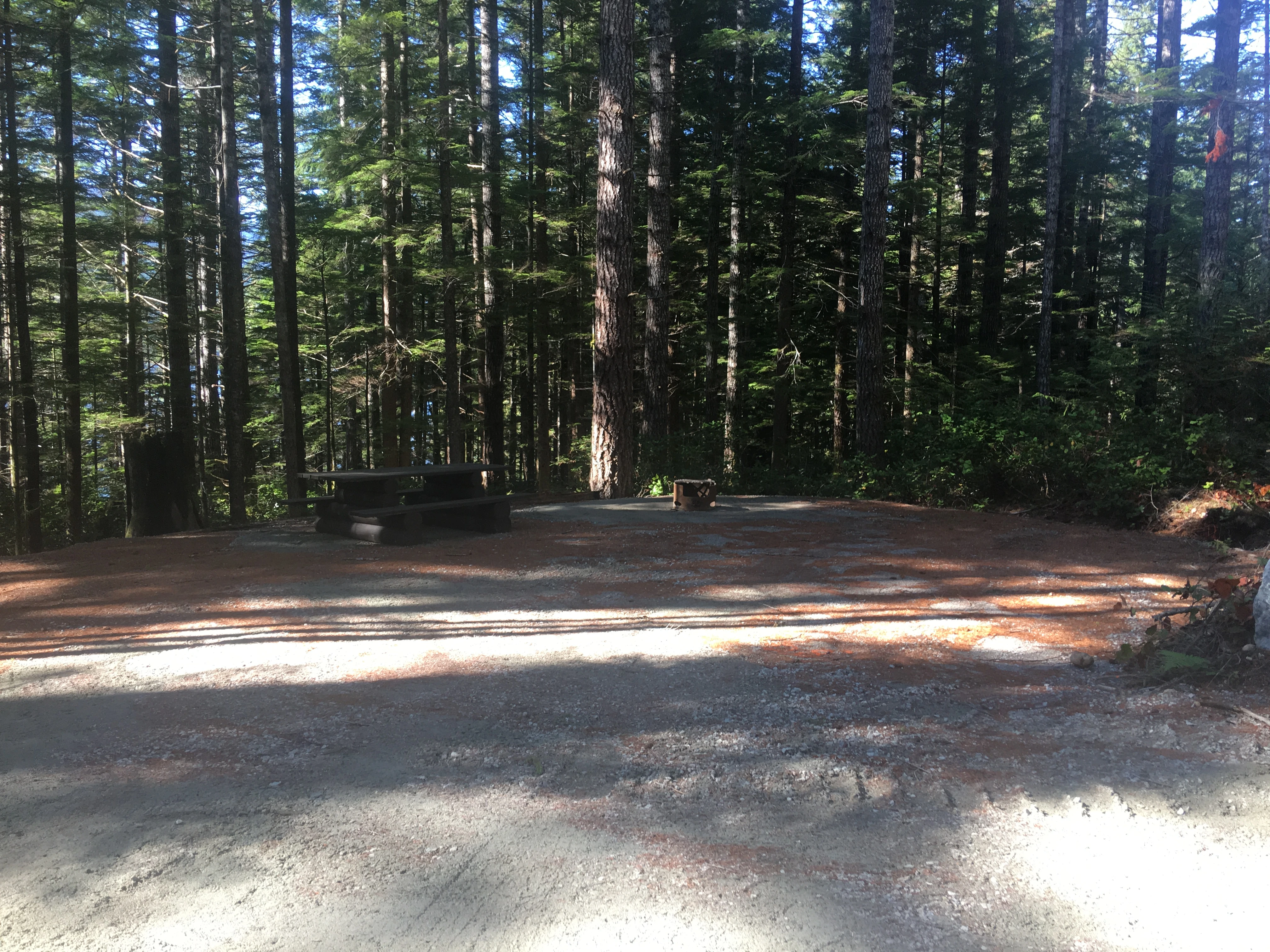 Photo: Recreation Sites and Trails BC. © Province of British Columbia, licensed under the Open Government Licence – British Columbia. Pye Beach, photo 7