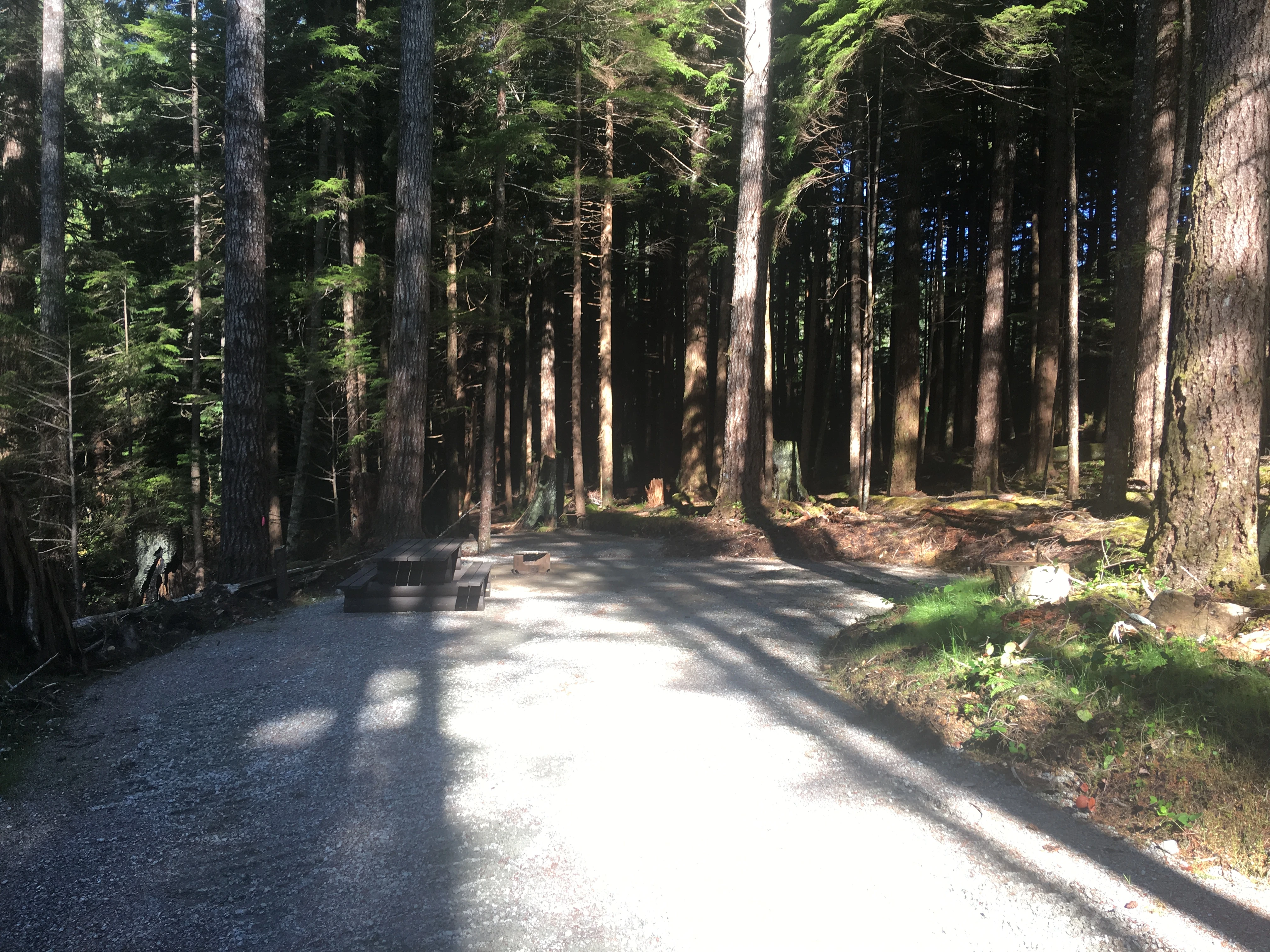 Photo: Recreation Sites and Trails BC. © Province of British Columbia, licensed under the Open Government Licence – British Columbia. Pye Beach, photo 3