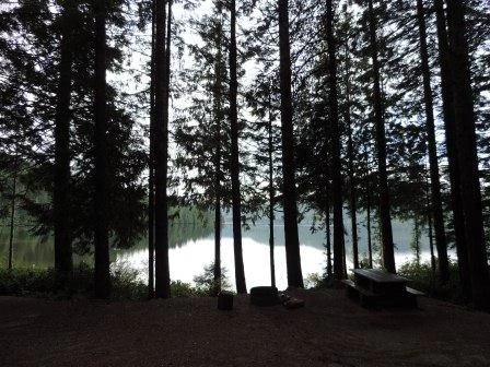 Photo: Recreation Sites and Trails BC. © Province of British Columbia, licensed under the Open Government Licence – British Columbia. Pye Beach, photo 12