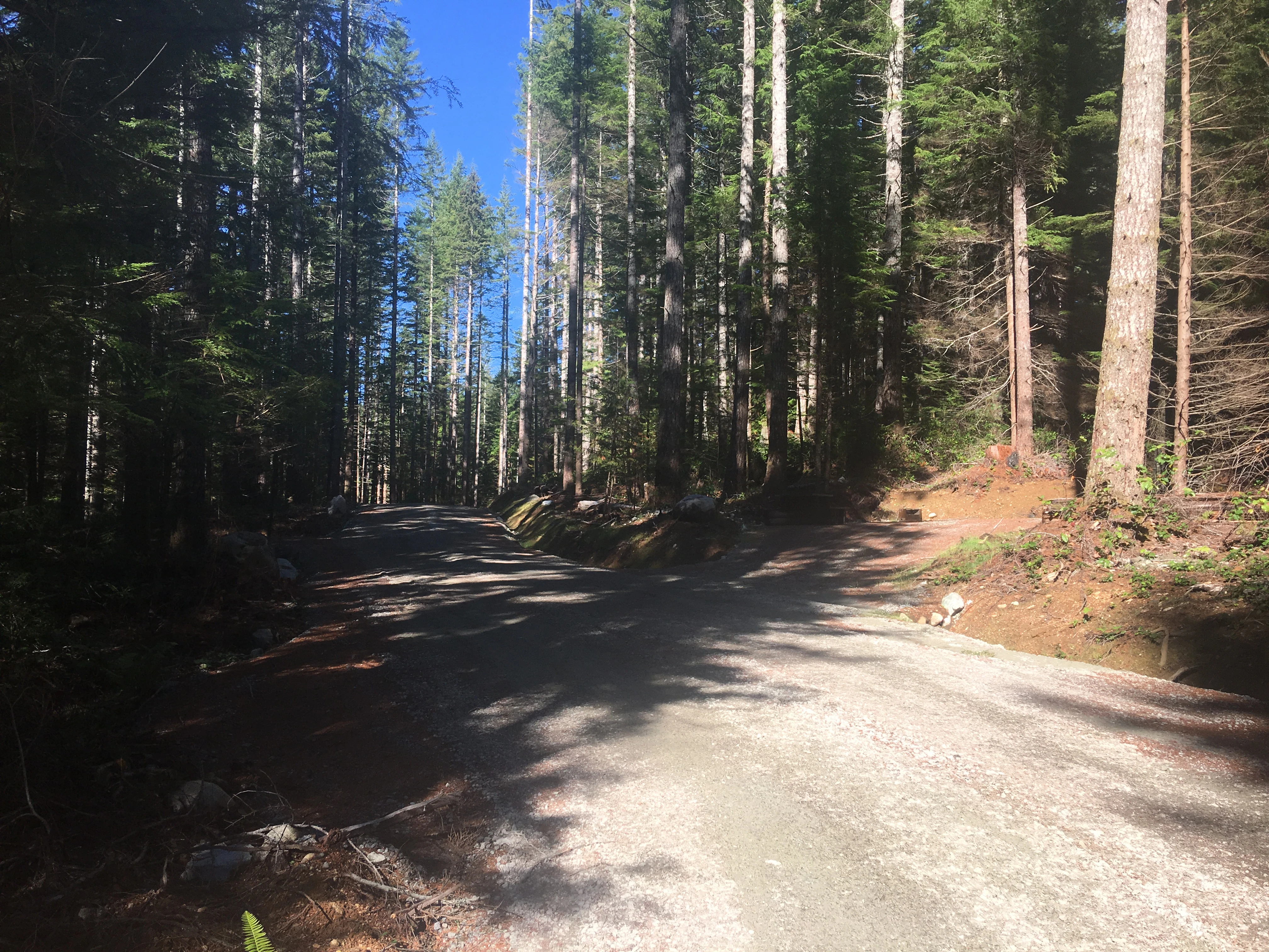 Photo: Recreation Sites and Trails BC. © Province of British Columbia, licensed under the Open Government Licence – British Columbia. Pye Beach, photo 4