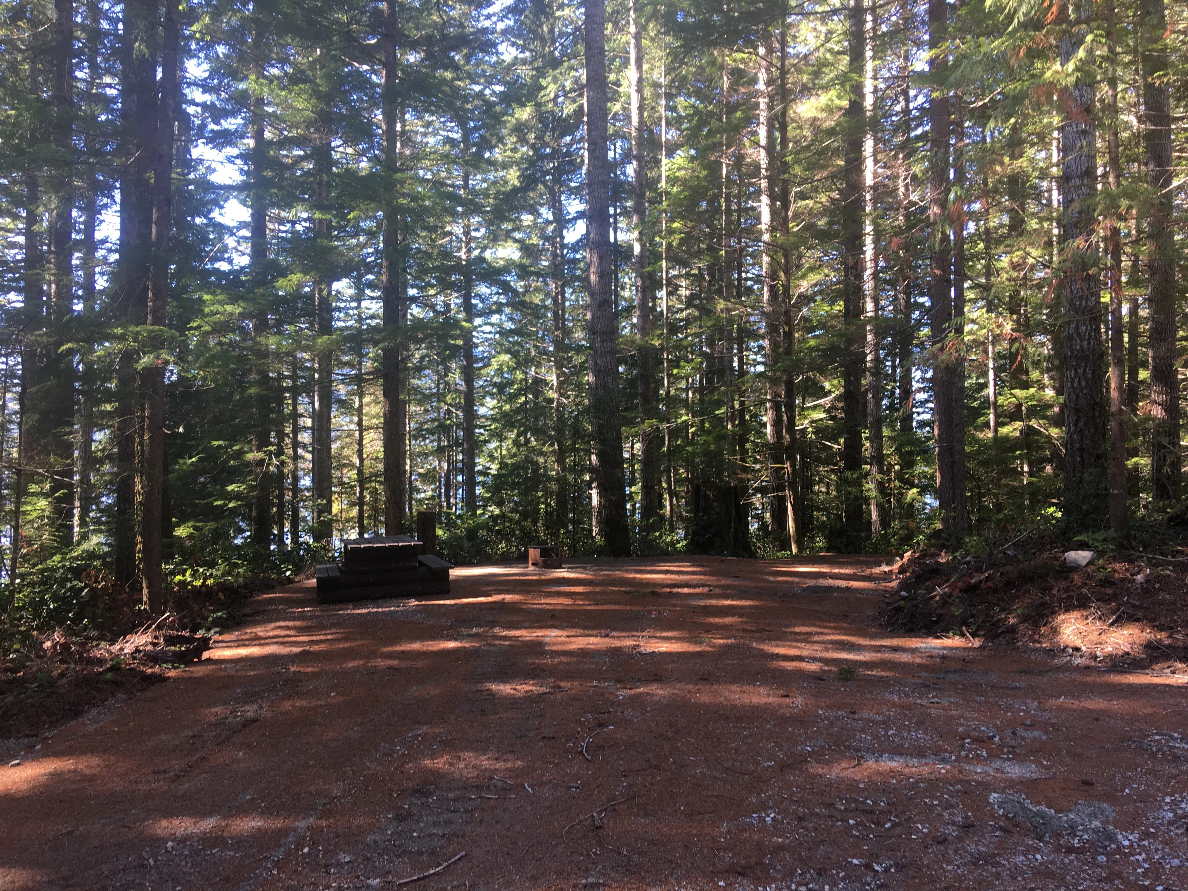 Photo: Recreation Sites and Trails BC. © Province of British Columbia, licensed under the Open Government Licence – British Columbia. Pye Beach, photo 5