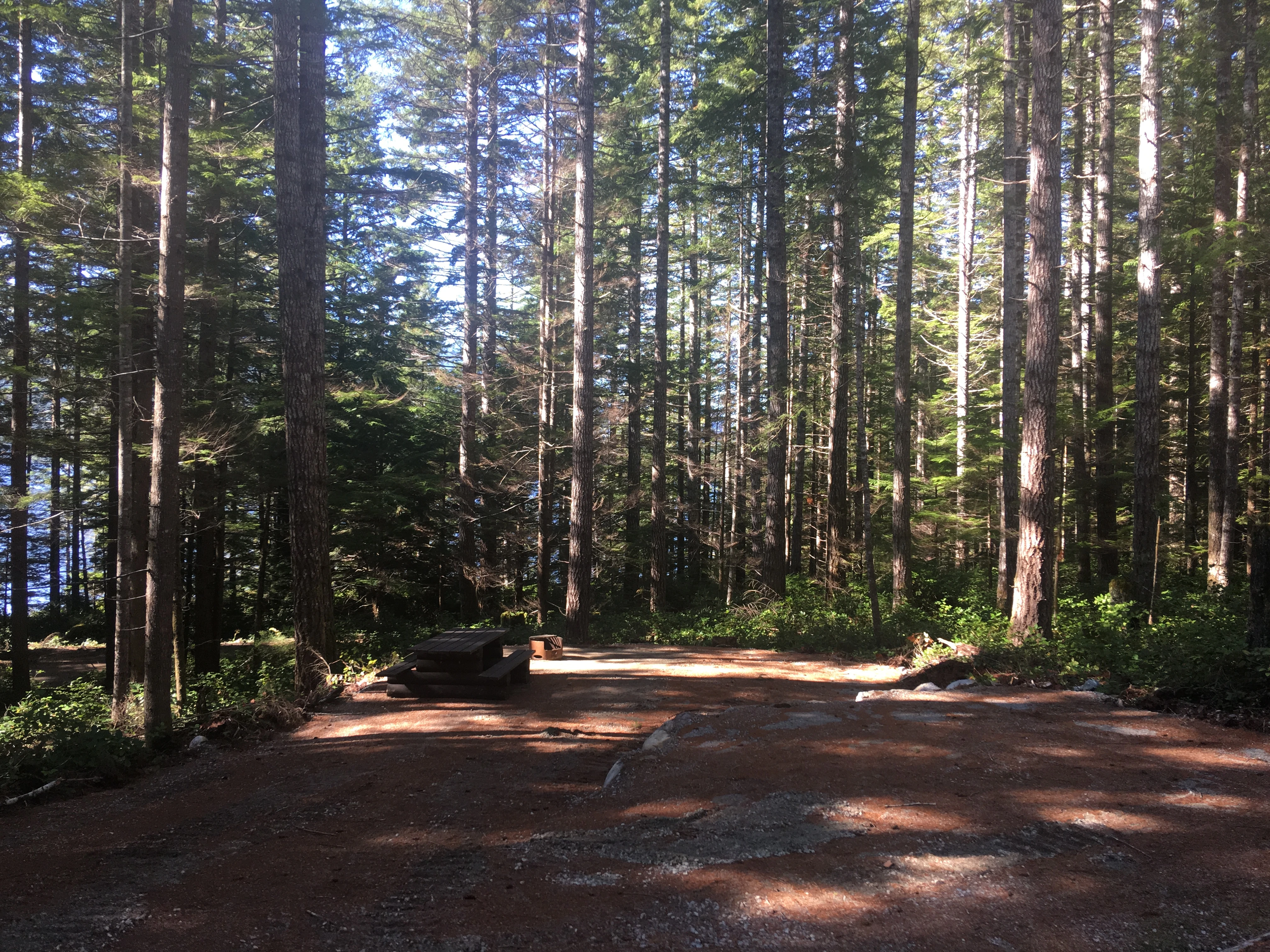 Photo: Recreation Sites and Trails BC. © Province of British Columbia, licensed under the Open Government Licence – British Columbia. Pye Beach, photo 6