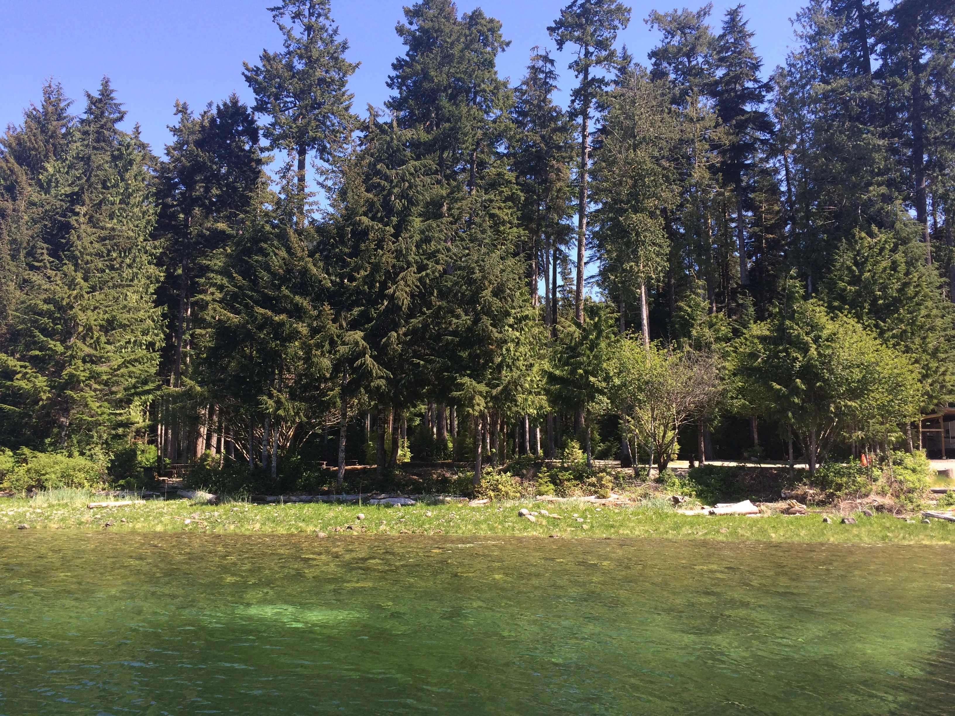 Photo: Recreation Sites and Trails BC. © Province of British Columbia, licensed under the Open Government Licence – British Columbia. Cougar Creek, photo 6