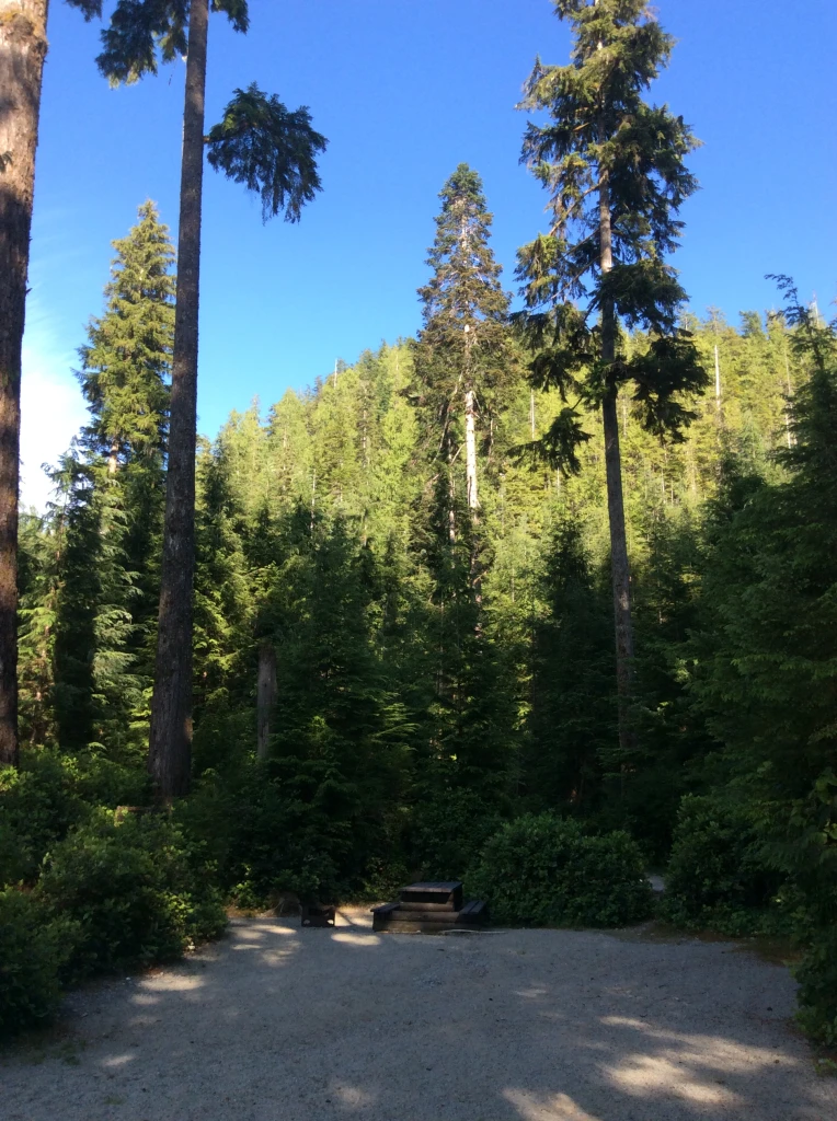 Photo: Recreation Sites and Trails BC. © Province of British Columbia, licensed under the Open Government Licence – British Columbia. Cougar Creek, photo 3