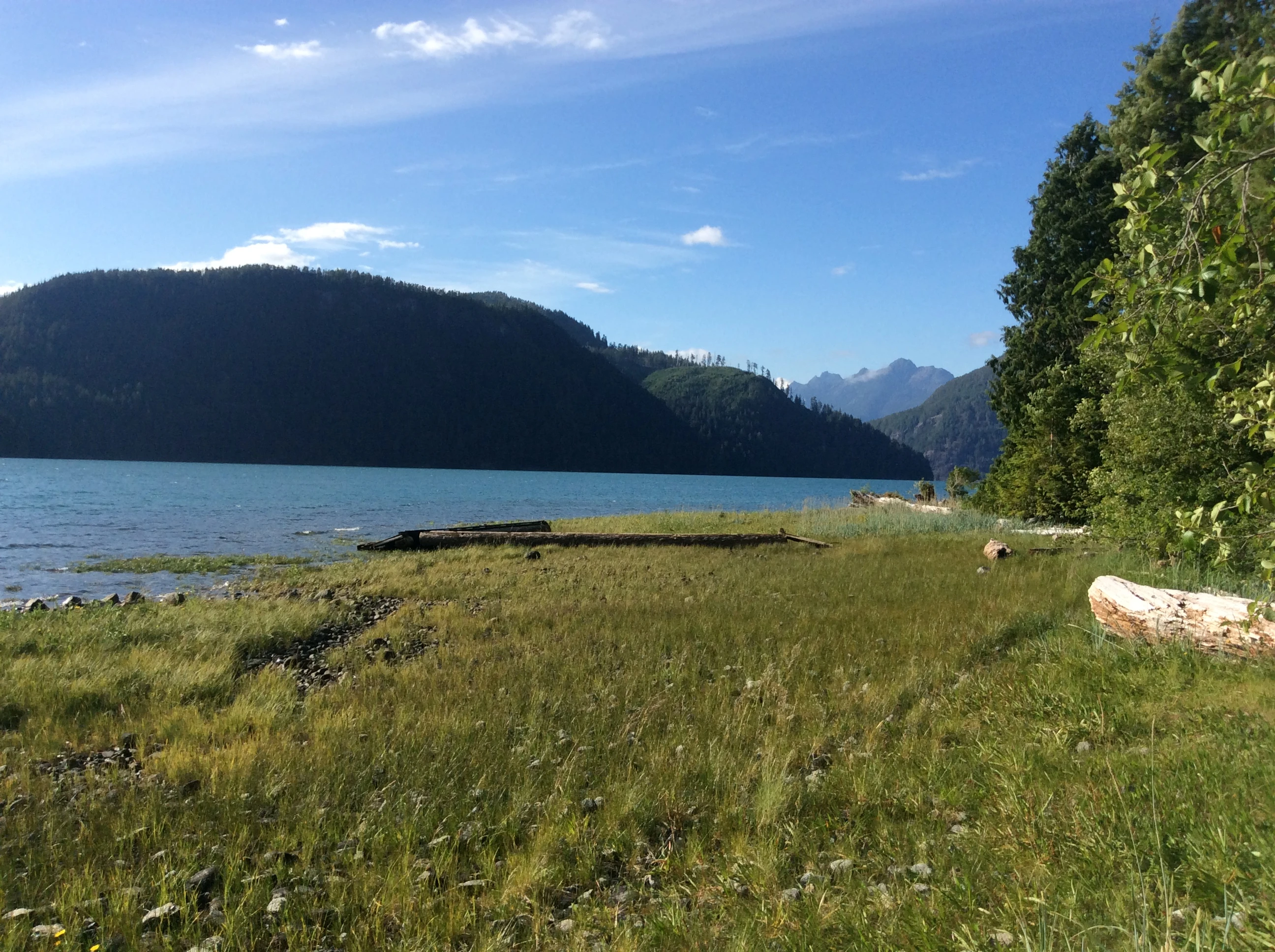 Photo: Recreation Sites and Trails BC. © Province of British Columbia, licensed under the Open Government Licence – British Columbia. Cougar Creek, photo 4