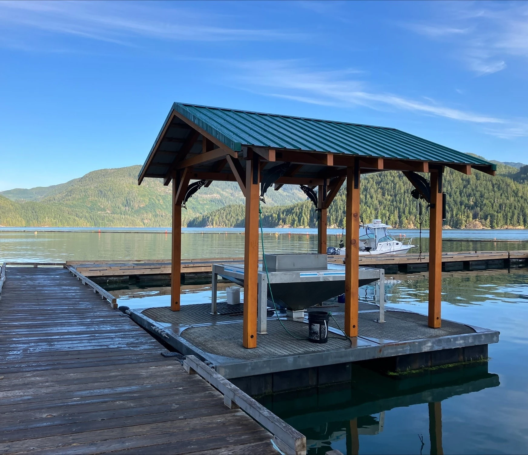Photo: Recreation Sites and Trails BC. © Province of British Columbia, licensed under the Open Government Licence – British Columbia. Cougar Creek, photo 8