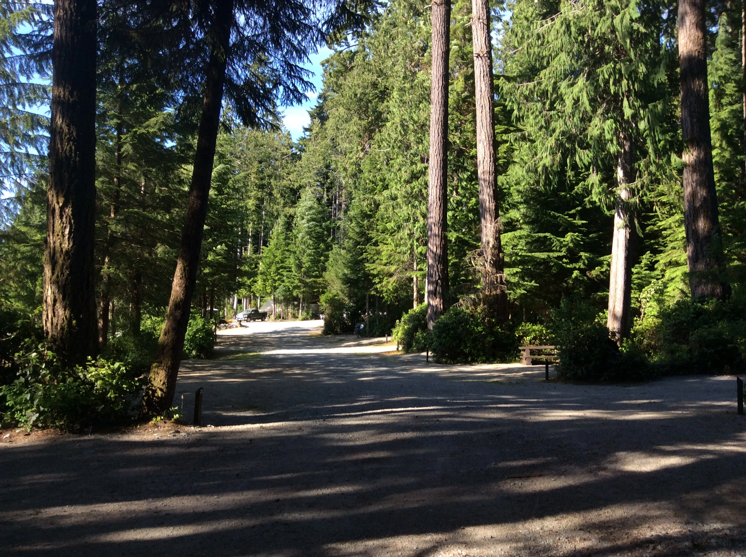 Photo: Recreation Sites and Trails BC. © Province of British Columbia, licensed under the Open Government Licence – British Columbia. Cougar Creek, photo 2