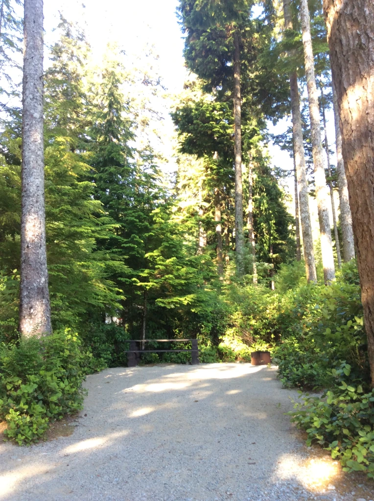 Photo: Recreation Sites and Trails BC. © Province of British Columbia, licensed under the Open Government Licence – British Columbia. Cougar Creek, photo 5