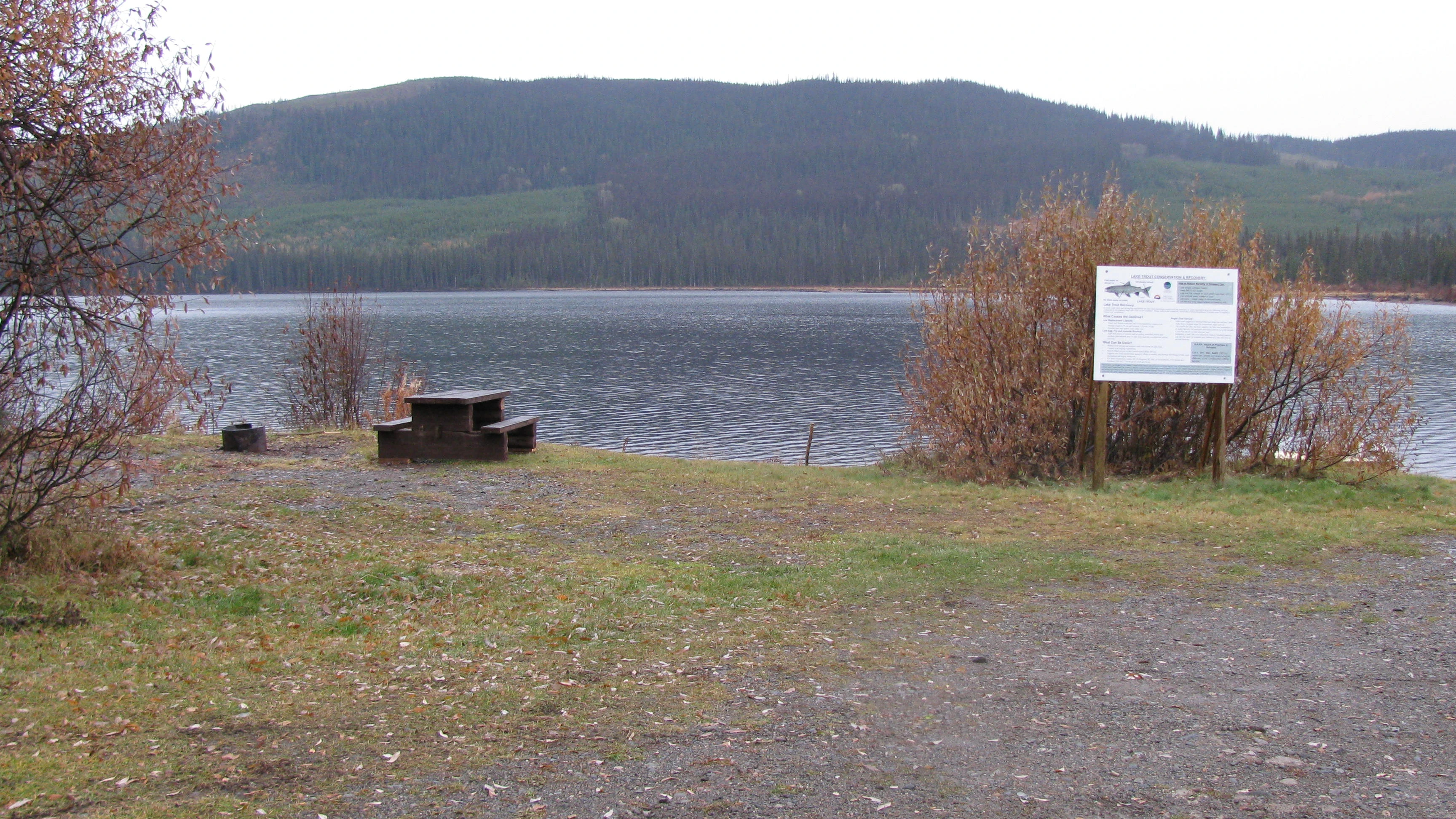 Photo: Recreation Sites and Trails BC. © Province of British Columbia, licensed under the Open Government Licence – British Columbia. Taltapin Lake