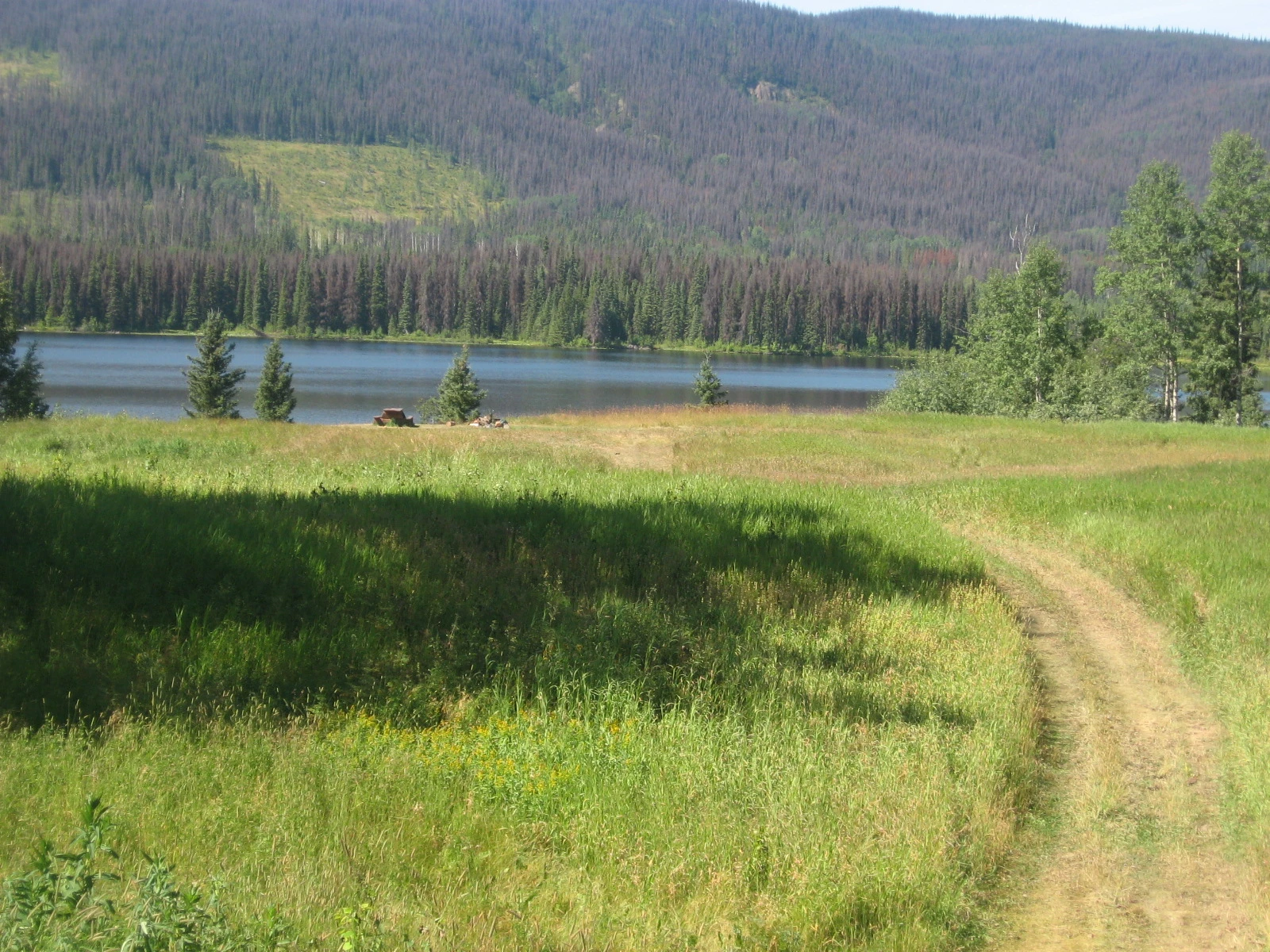 Photo: Recreation Sites and Trails BC. © Province of British Columbia, licensed under the Open Government Licence – British Columbia. Guyishton Lake, photo 2