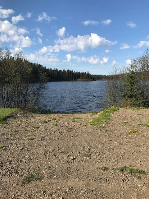 Photo: Recreation Sites and Trails BC. © Province of British Columbia, licensed under the Open Government Licence – British Columbia. Division Lake, photo 4