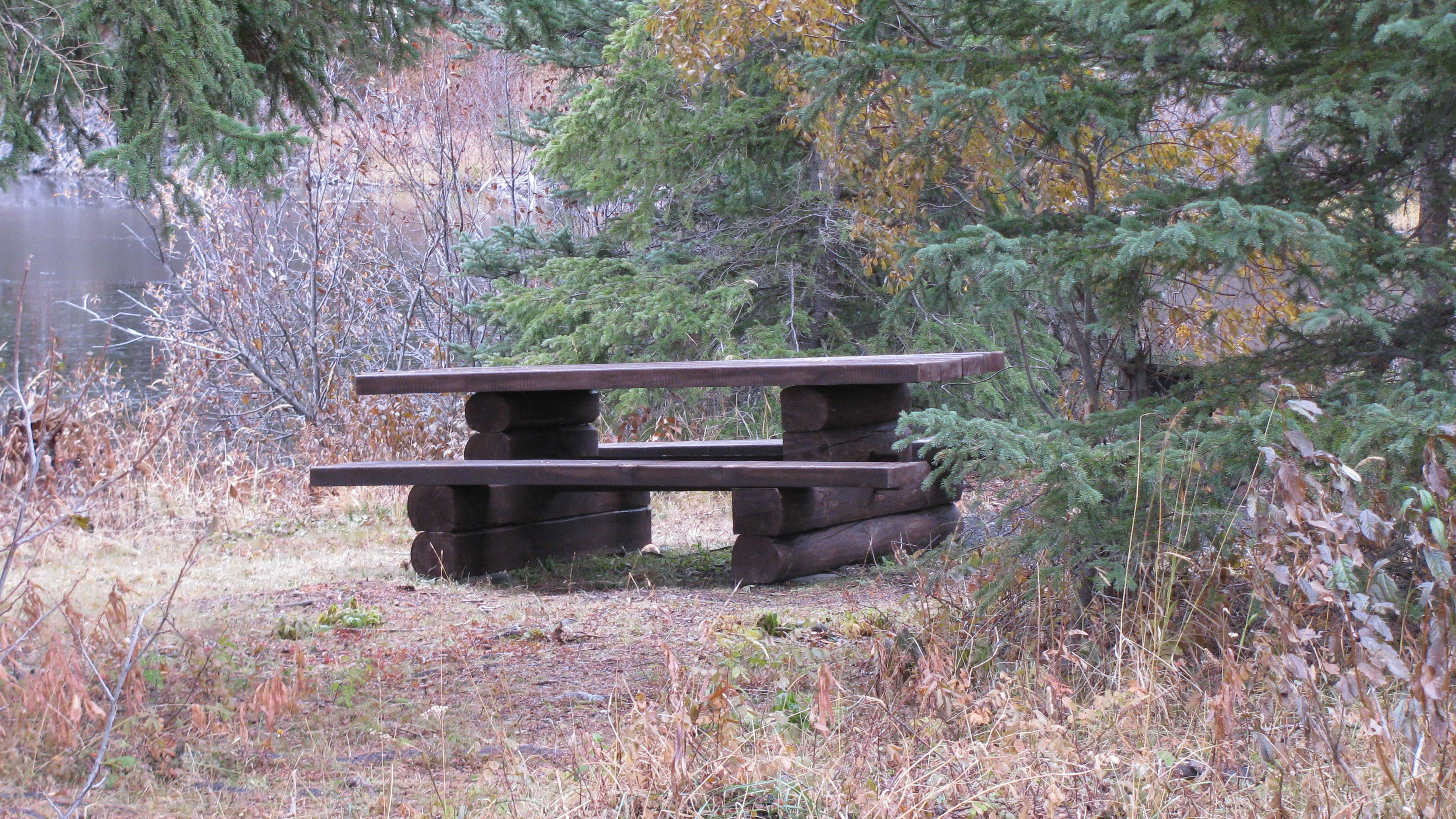 Photo: Recreation Sites and Trails BC. © Province of British Columbia, licensed under the Open Government Licence – British Columbia. Division Lake, photo 6