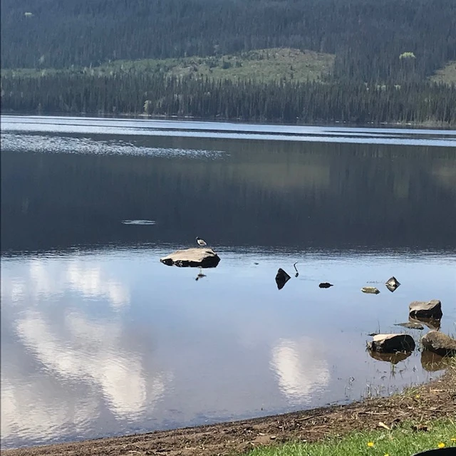 Photo: Recreation Sites and Trails BC. © Province of British Columbia, licensed under the Open Government Licence – British Columbia. Augier Lake, photo 3