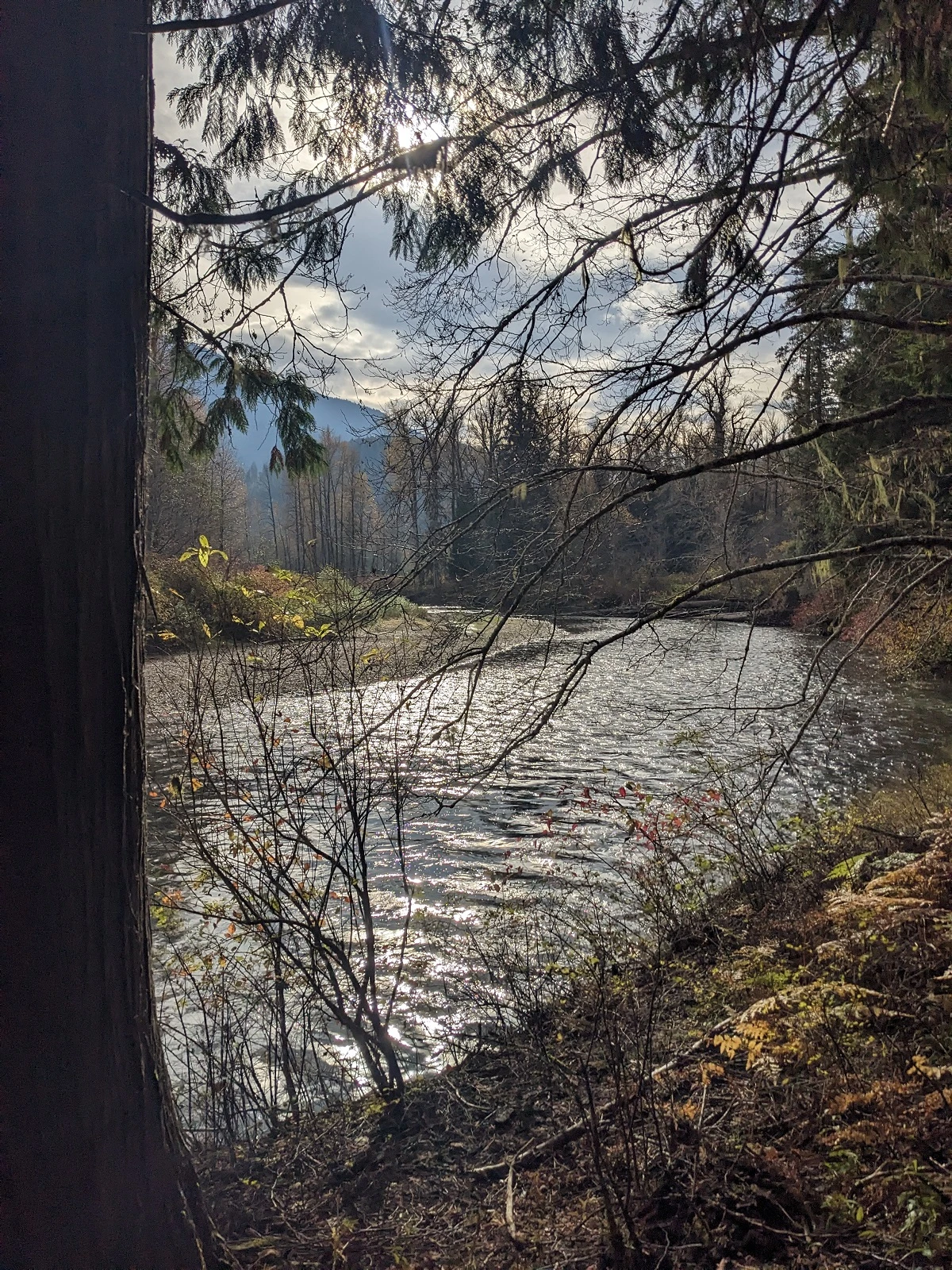 Photo: Recreation Sites and Trails BC. © Province of British Columbia, licensed under the Open Government Licence – British Columbia. Lakelse River