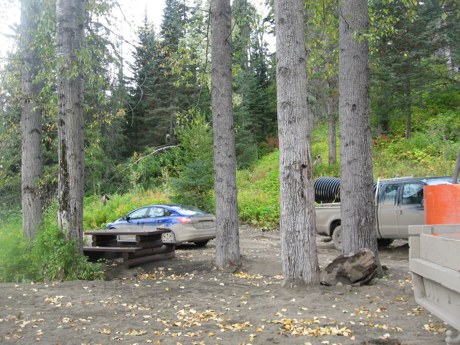 Photo: Recreation Sites and Trails BC. © Province of British Columbia, licensed under the Open Government Licence – British Columbia. Sweetin River, photo 4