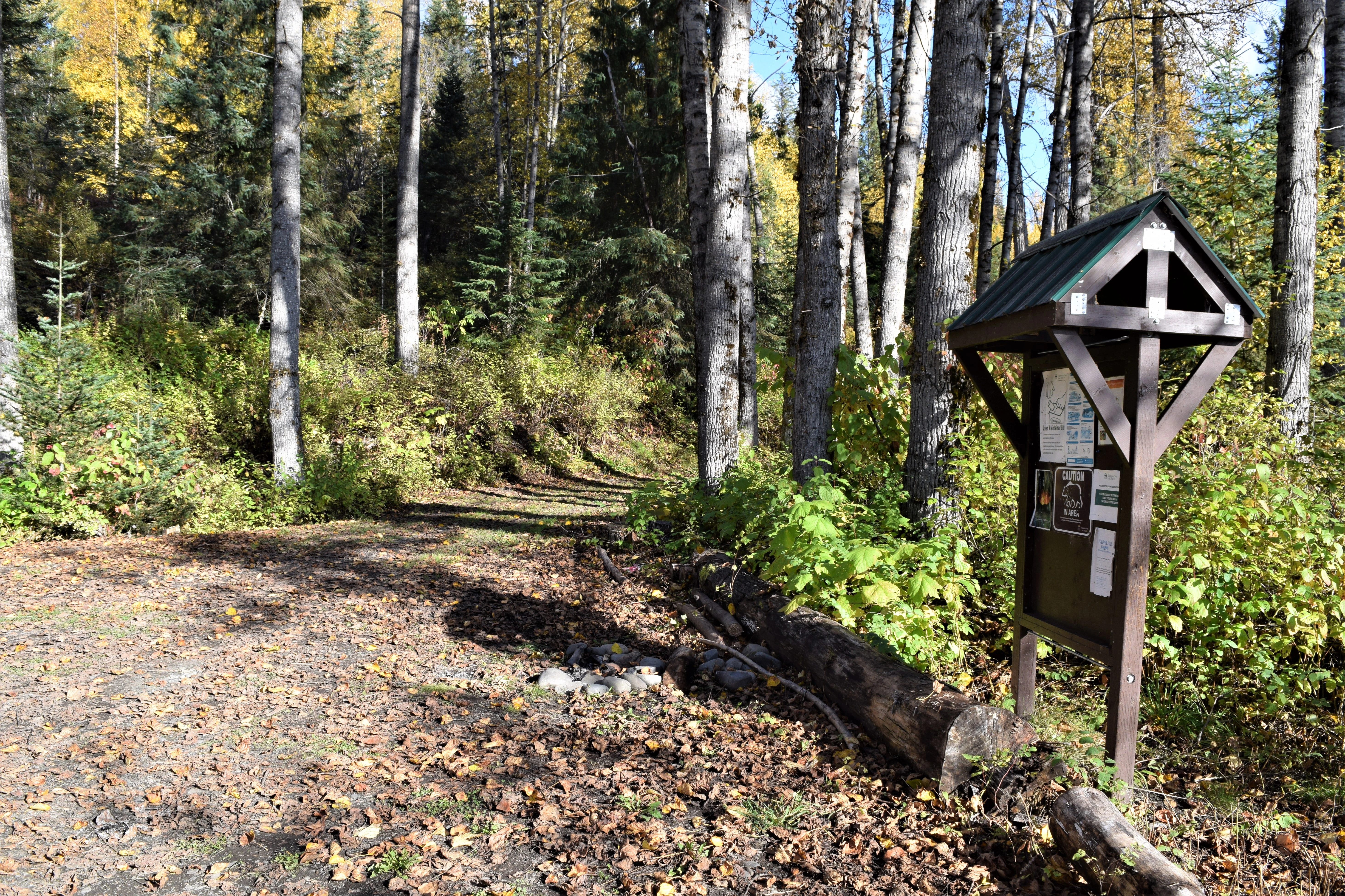 Photo: Recreation Sites and Trails BC. © Province of British Columbia, licensed under the Open Government Licence – British Columbia. Sweetin River