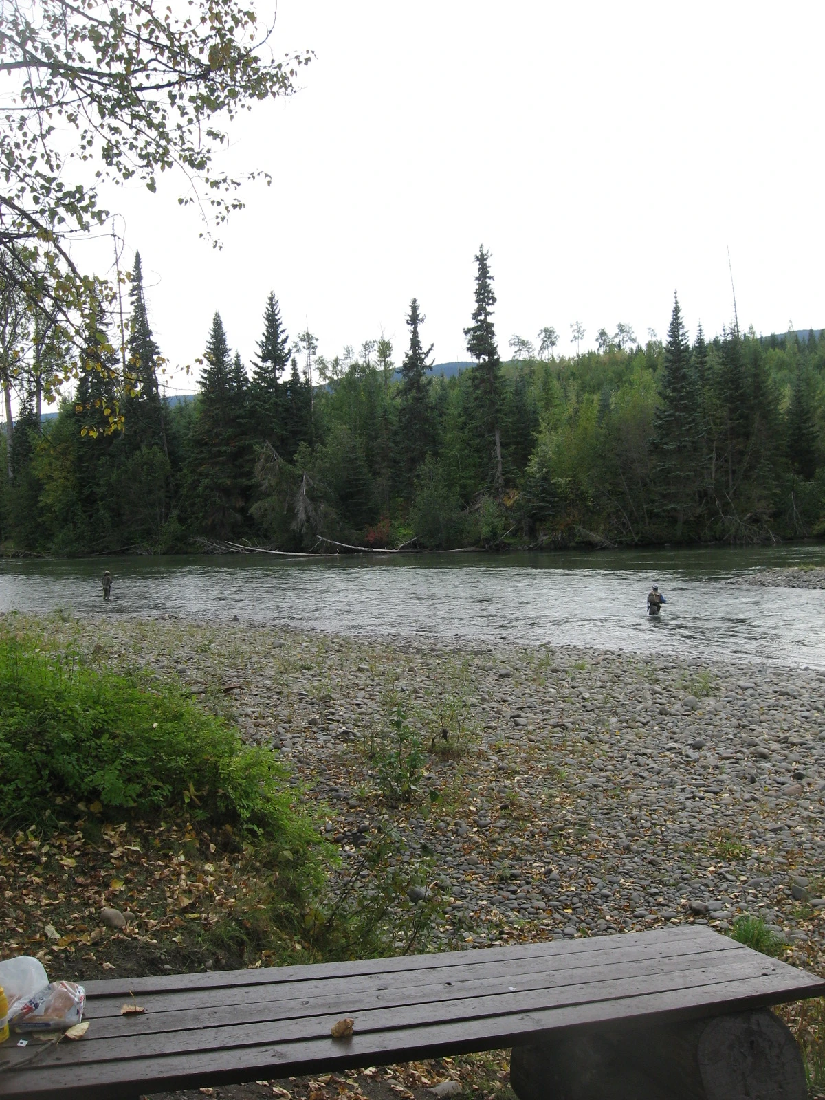 Photo: Recreation Sites and Trails BC. © Province of British Columbia, licensed under the Open Government Licence – British Columbia. Sweetin River, photo 2