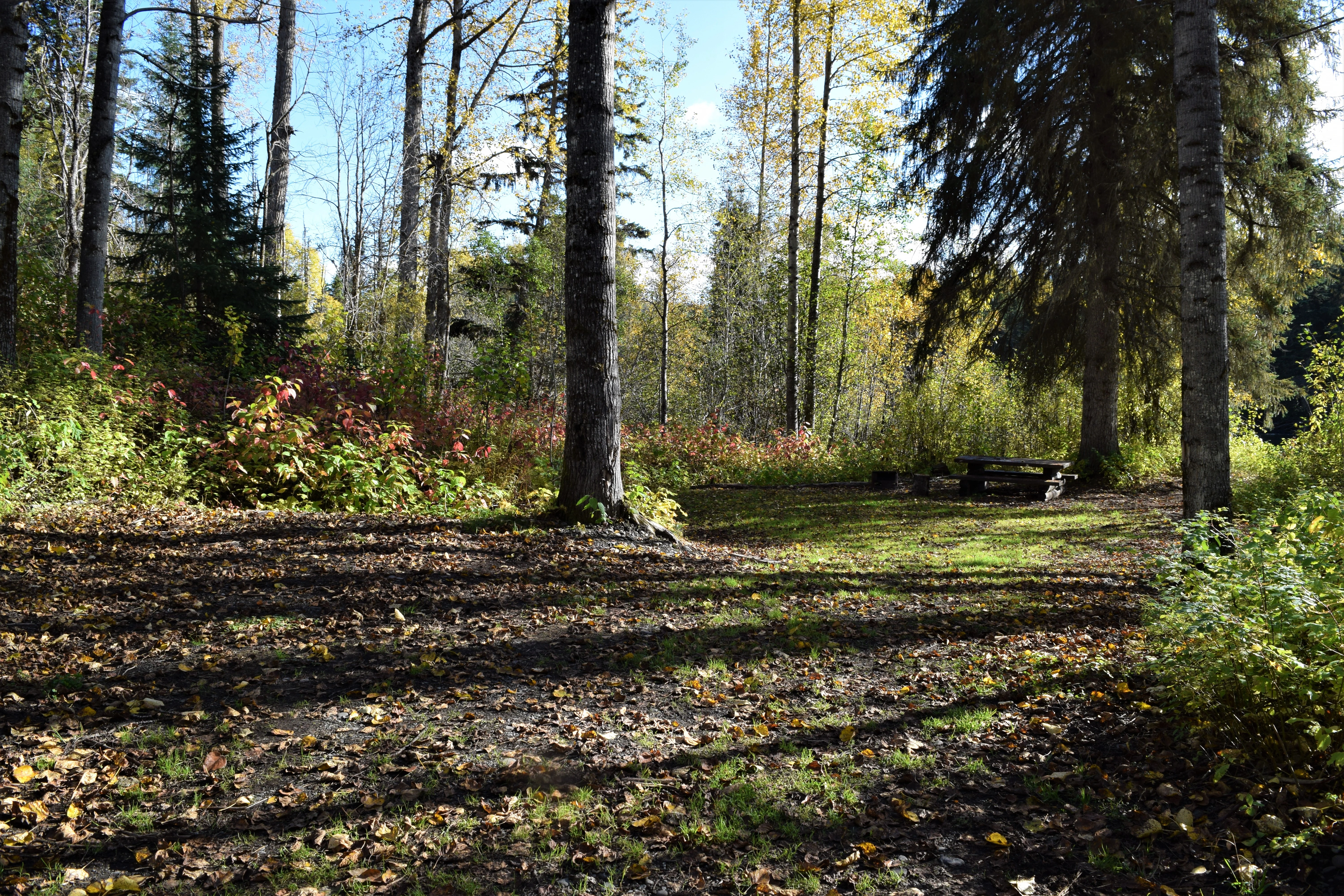 Photo: Recreation Sites and Trails BC. © Province of British Columbia, licensed under the Open Government Licence – British Columbia. Sweetin River, photo 3