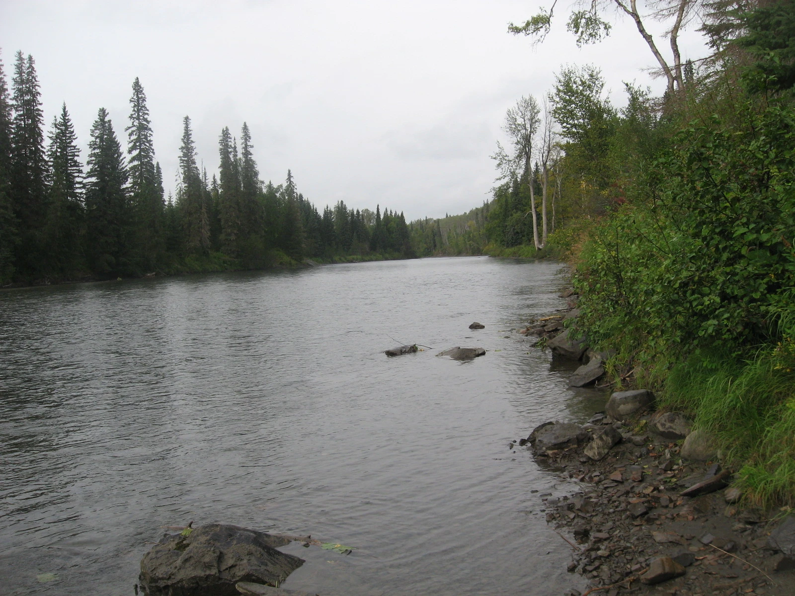 Photo: Recreation Sites and Trails BC. © Province of British Columbia, licensed under the Open Government Licence – British Columbia. Sweetin River, photo 6