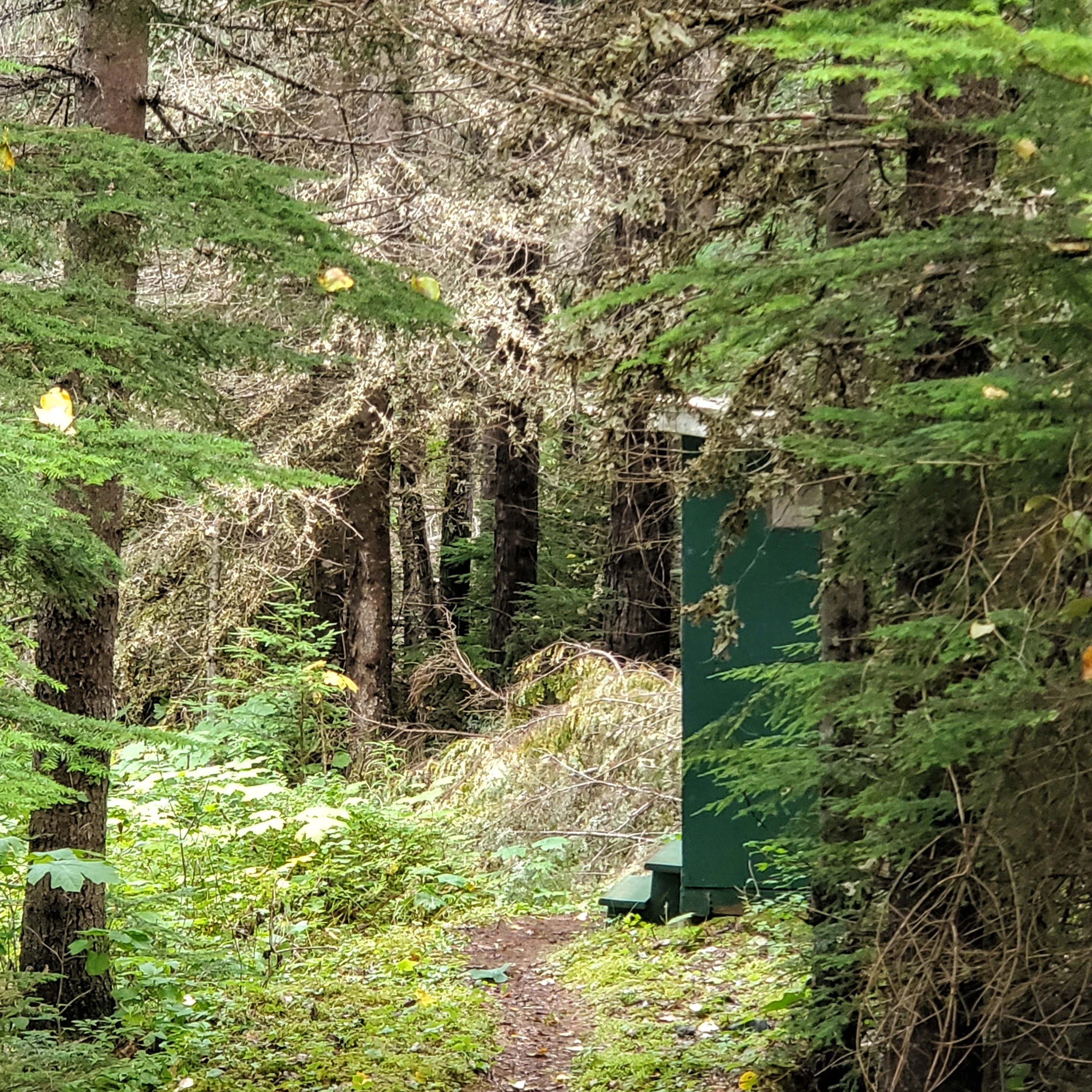 Photo: Recreation Sites and Trails BC. © Province of British Columbia, licensed under the Open Government Licence – British Columbia. Mitten Lake, photo 4