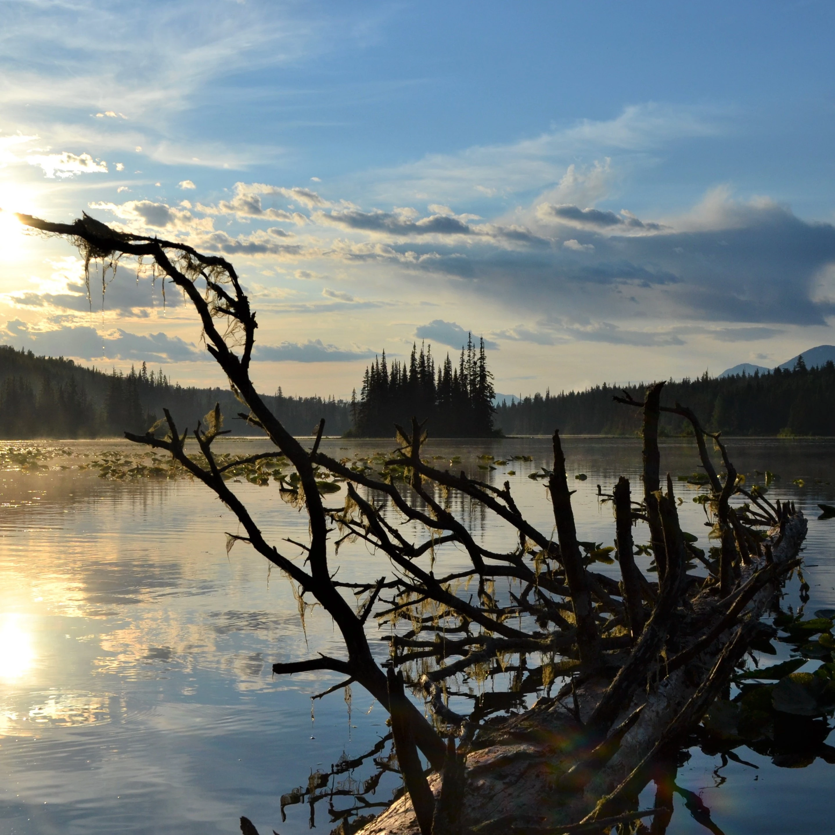 Photo: Recreation Sites and Trails BC. © Province of British Columbia, licensed under the Open Government Licence – British Columbia. Mitten Lake, photo 2