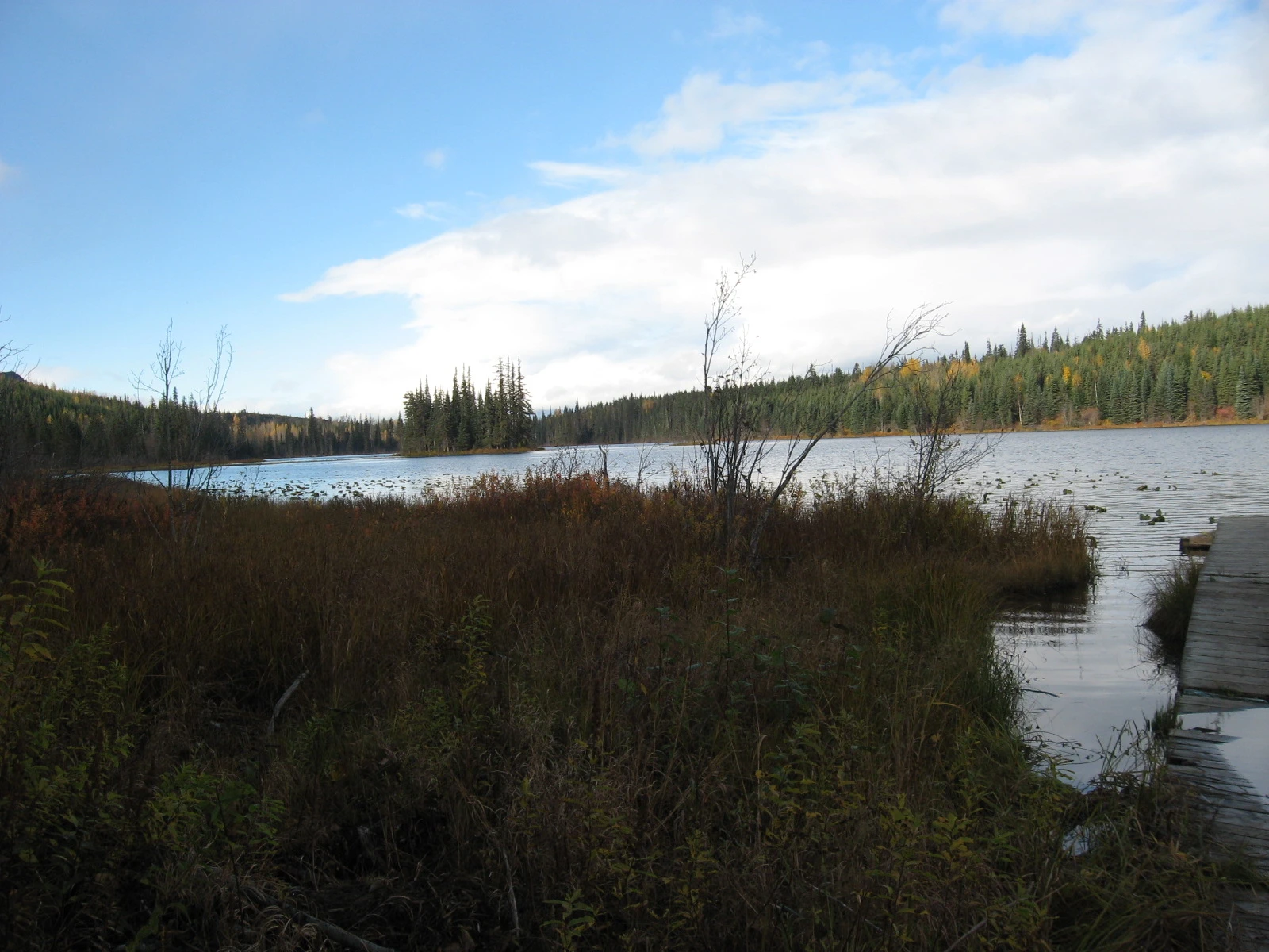 Photo: Recreation Sites and Trails BC. © Province of British Columbia, licensed under the Open Government Licence – British Columbia. Mitten Lake, photo 6