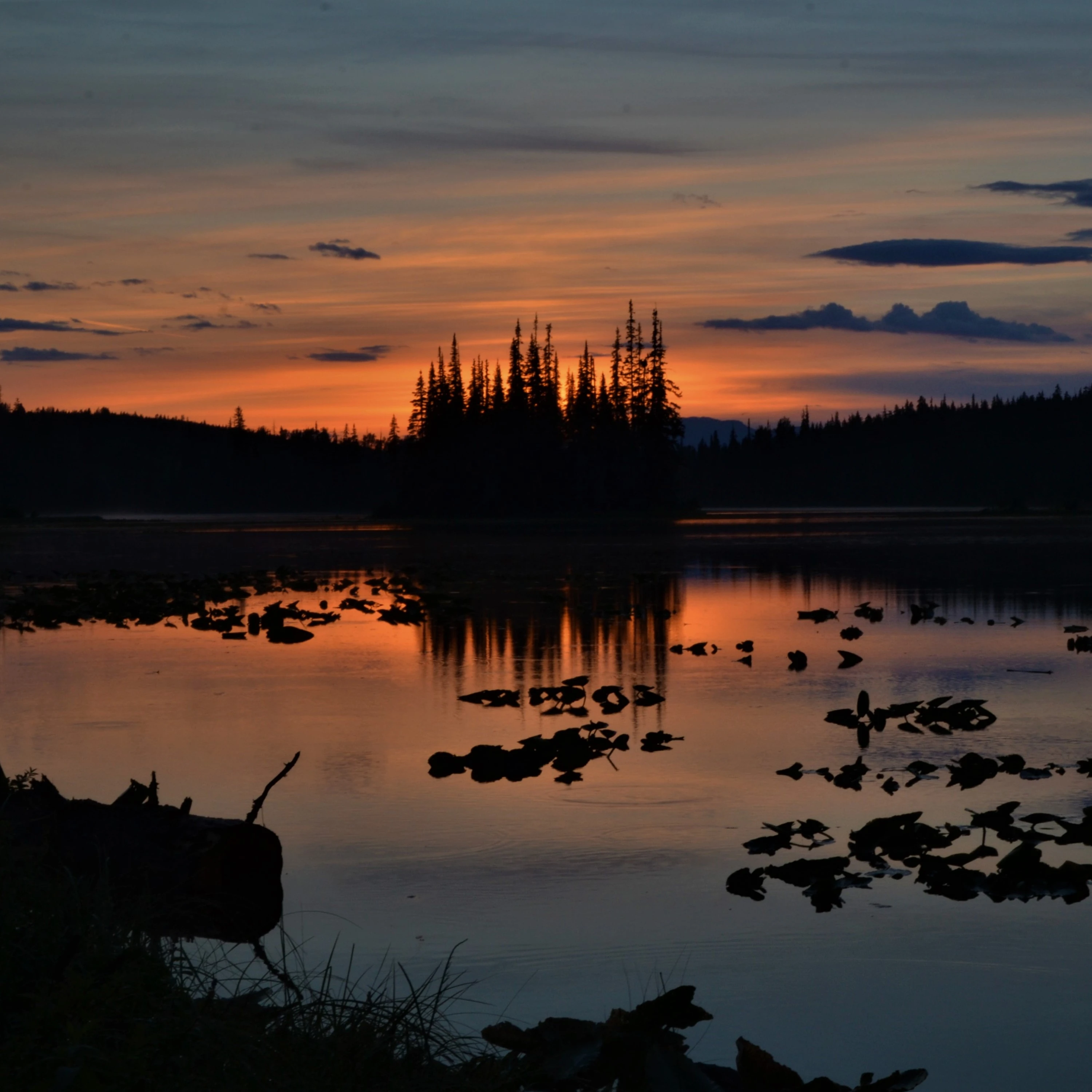 Photo: Recreation Sites and Trails BC. © Province of British Columbia, licensed under the Open Government Licence – British Columbia. Mitten Lake, photo 3