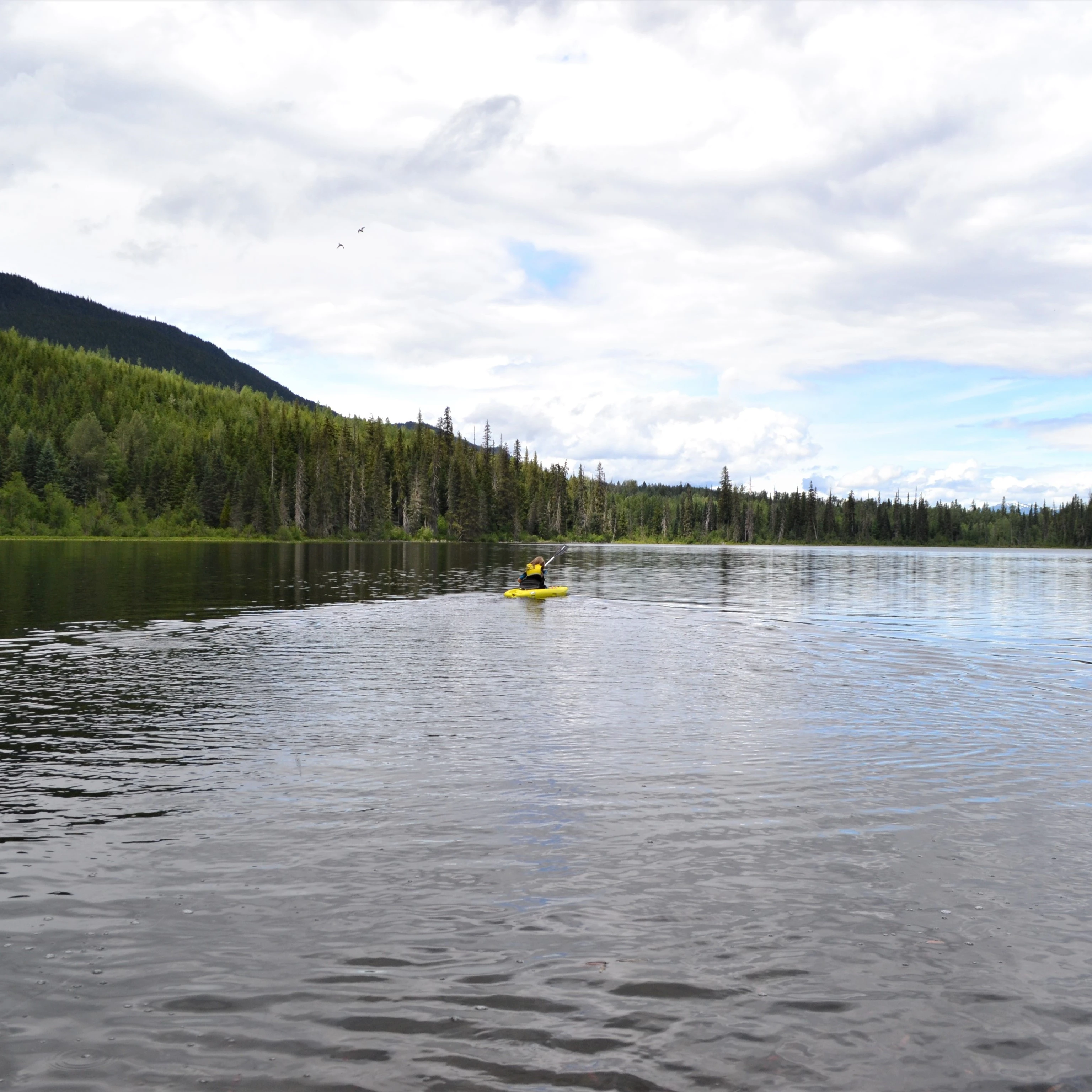 Photo: Recreation Sites and Trails BC. © Province of British Columbia, licensed under the Open Government Licence – British Columbia. Mitten Lake, photo 5