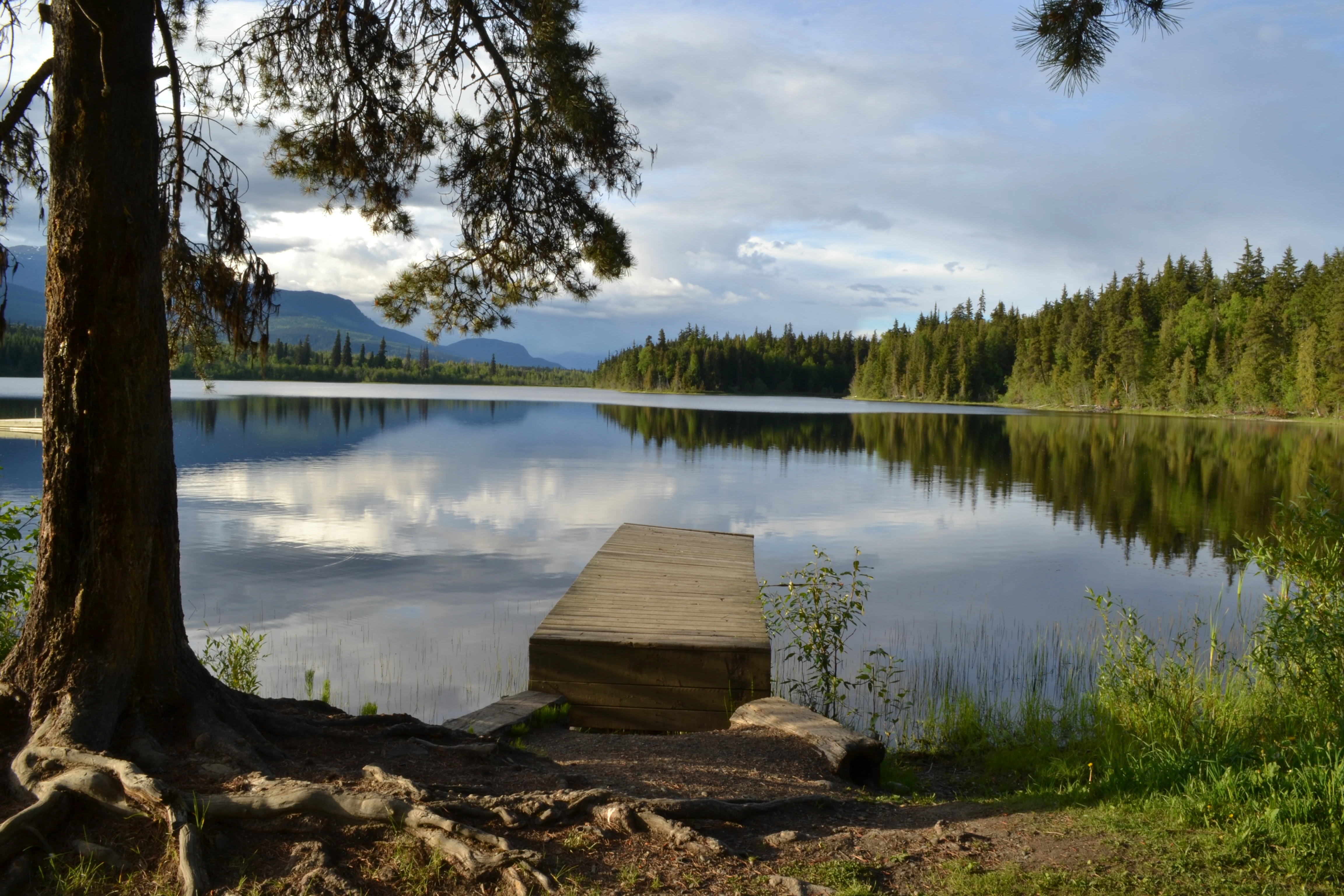 Photo: Recreation Sites and Trails BC. © Province of British Columbia, licensed under the Open Government Licence – British Columbia. Keynton Lake, photo 2