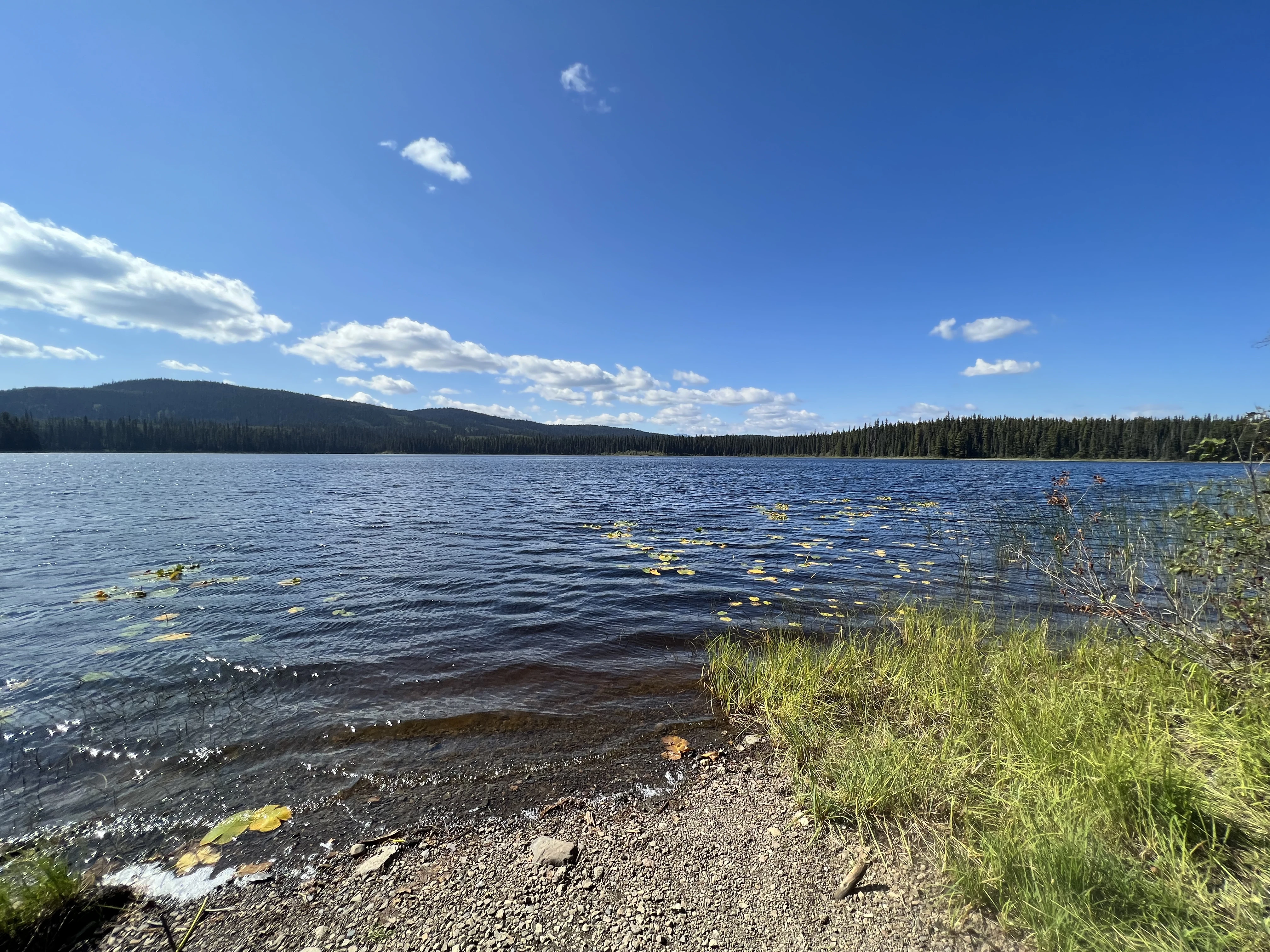 Photo: Recreation Sites and Trails BC. © Province of British Columbia, licensed under the Open Government Licence – British Columbia. Doris Lake, photo 3