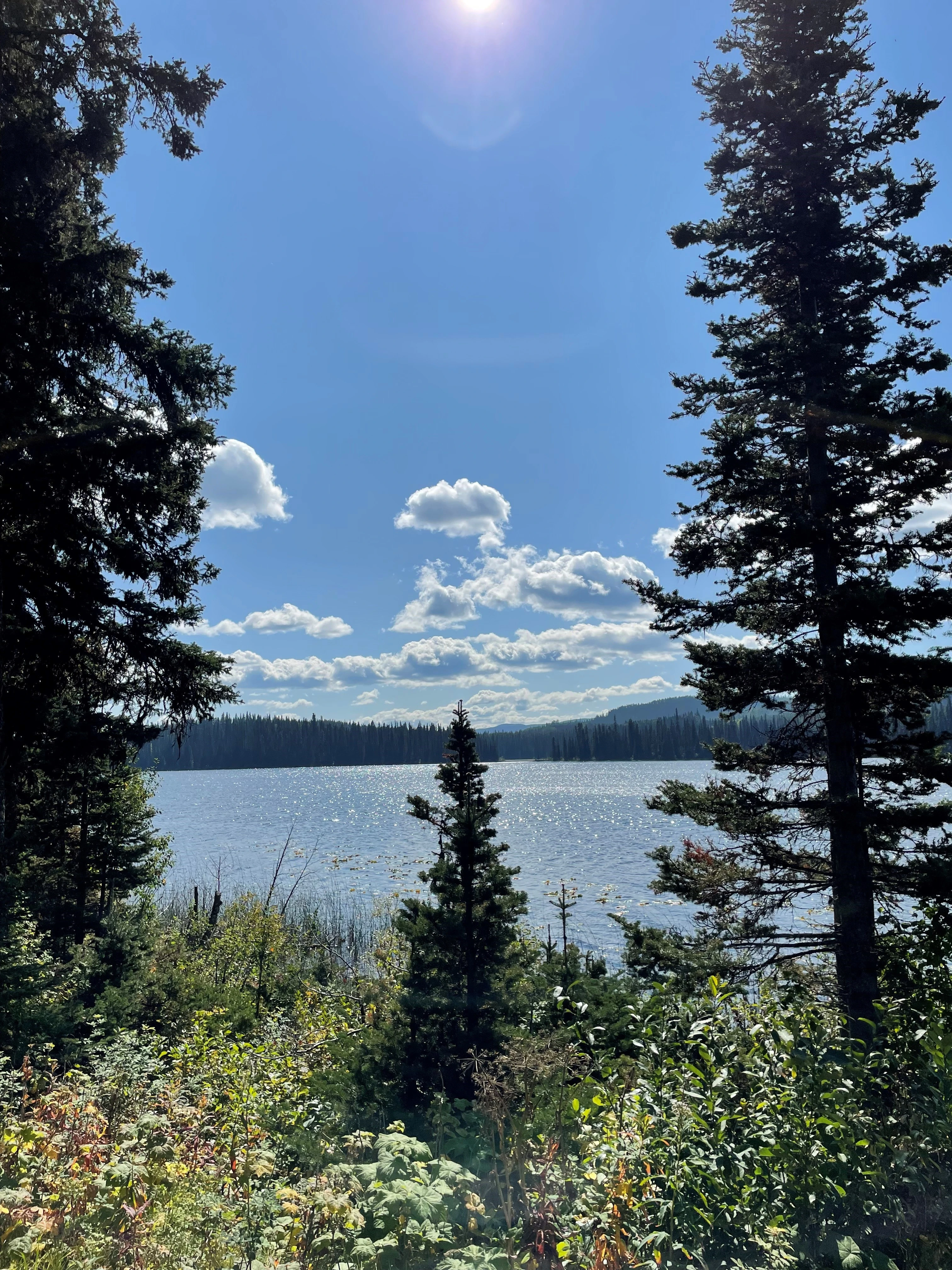 Photo: Recreation Sites and Trails BC. © Province of British Columbia, licensed under the Open Government Licence – British Columbia. Doris Lake, photo 2