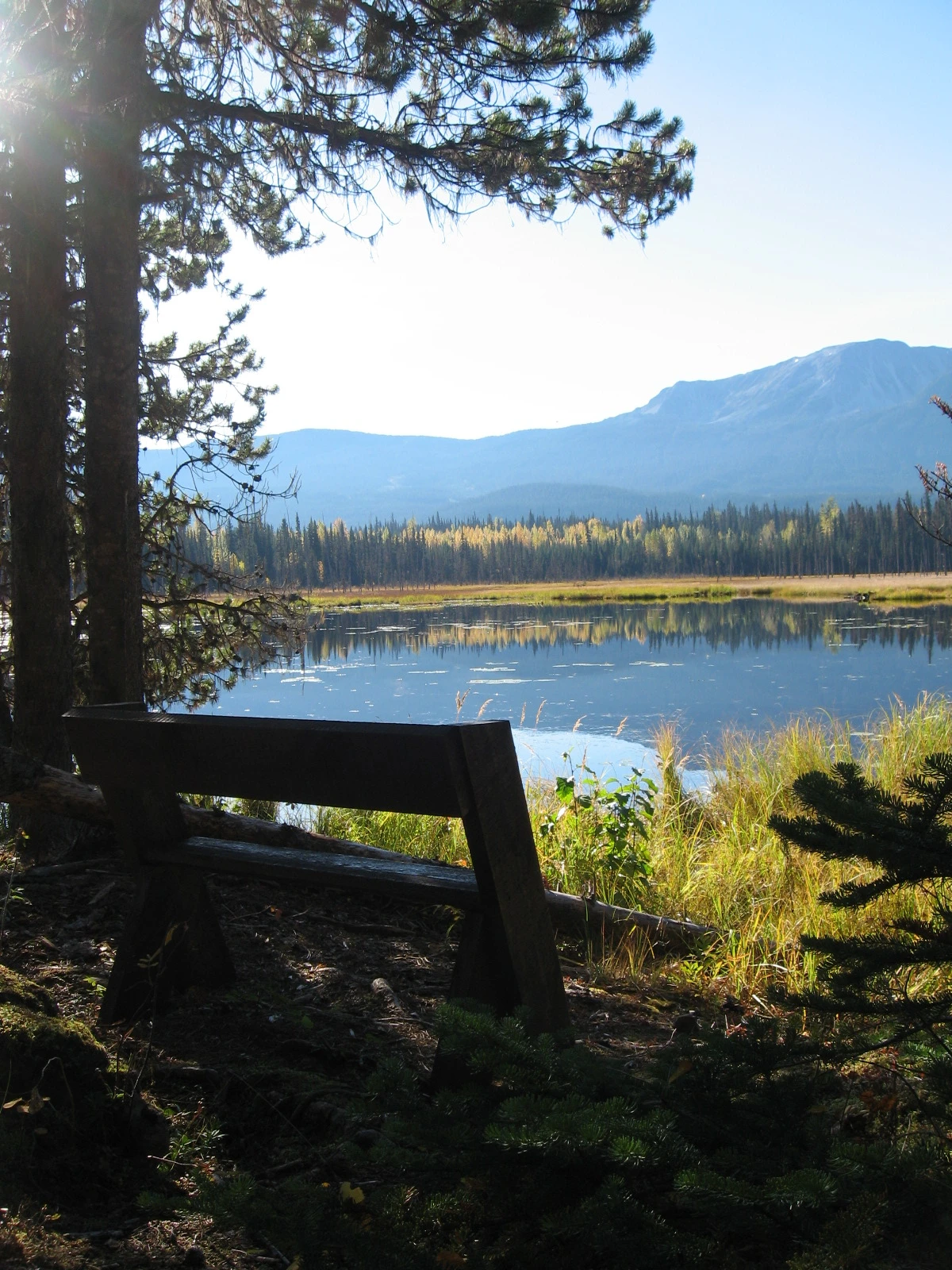 Photo: Recreation Sites and Trails BC. © Province of British Columbia, licensed under the Open Government Licence – British Columbia. Taltzen Lake, photo 8
