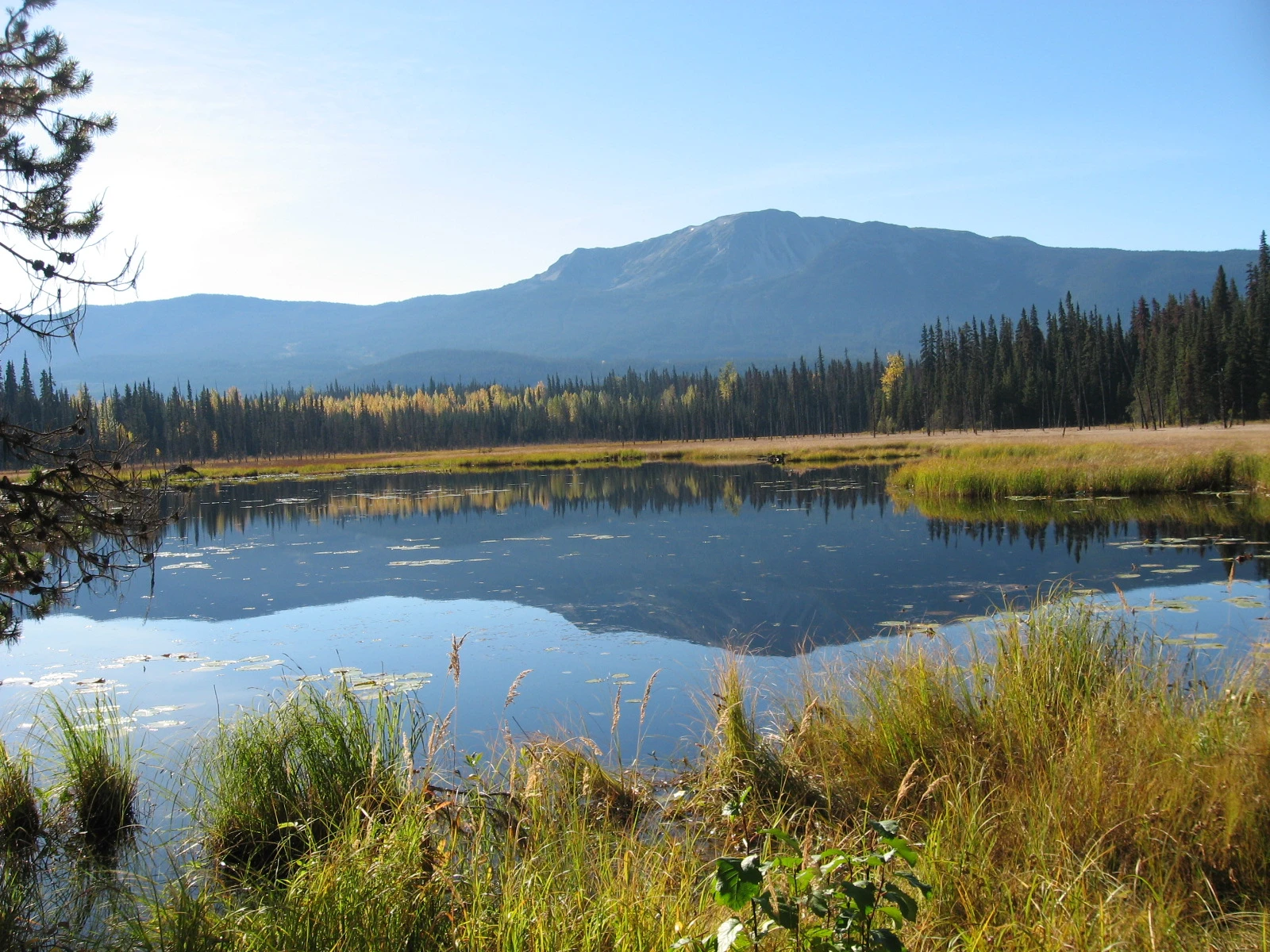 Photo: Recreation Sites and Trails BC. © Province of British Columbia, licensed under the Open Government Licence – British Columbia. Taltzen Lake, photo 6