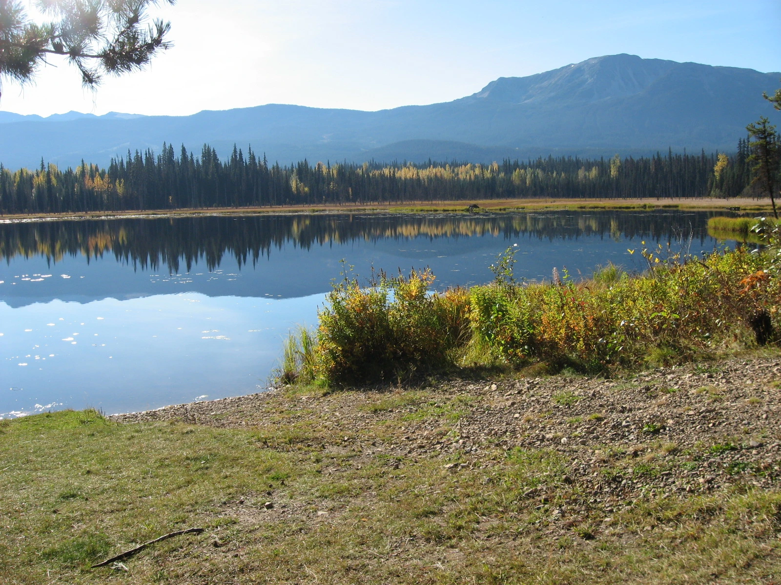 Photo: Recreation Sites and Trails BC. © Province of British Columbia, licensed under the Open Government Licence – British Columbia. Taltzen Lake, photo 4